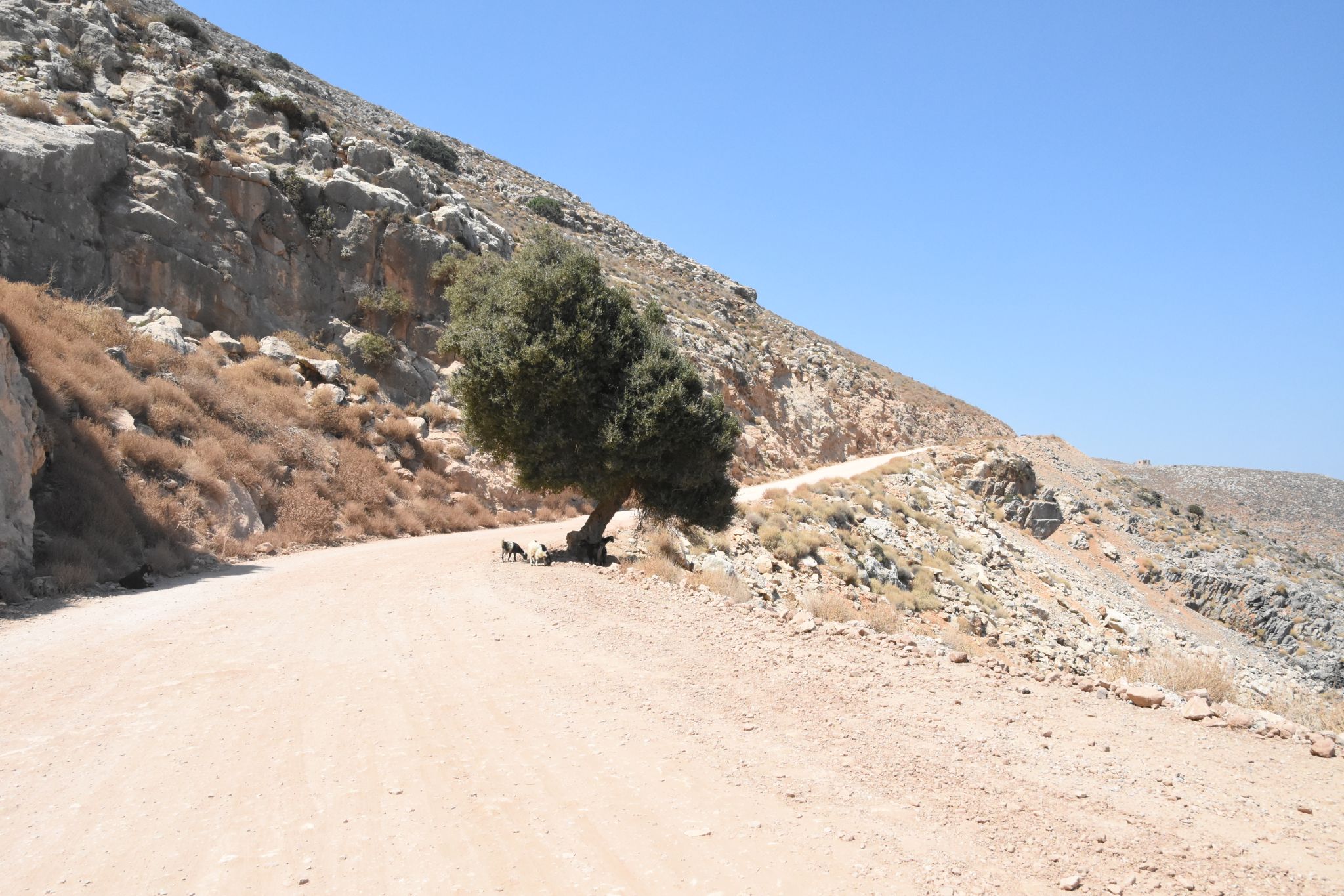 2023 08 24 13.01.15 nikon d7200