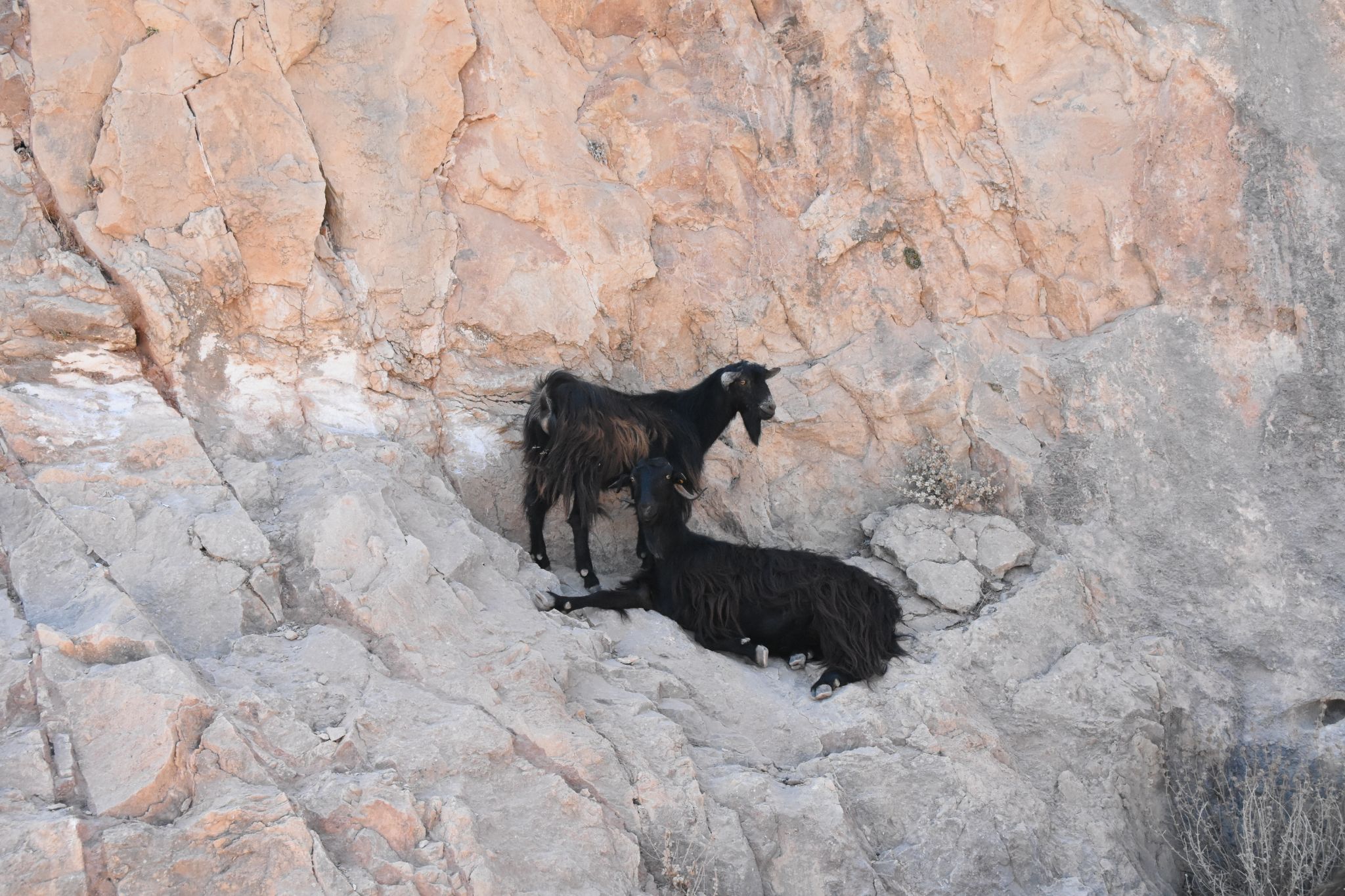 2023 08 24 13.01.45 nikon d7200