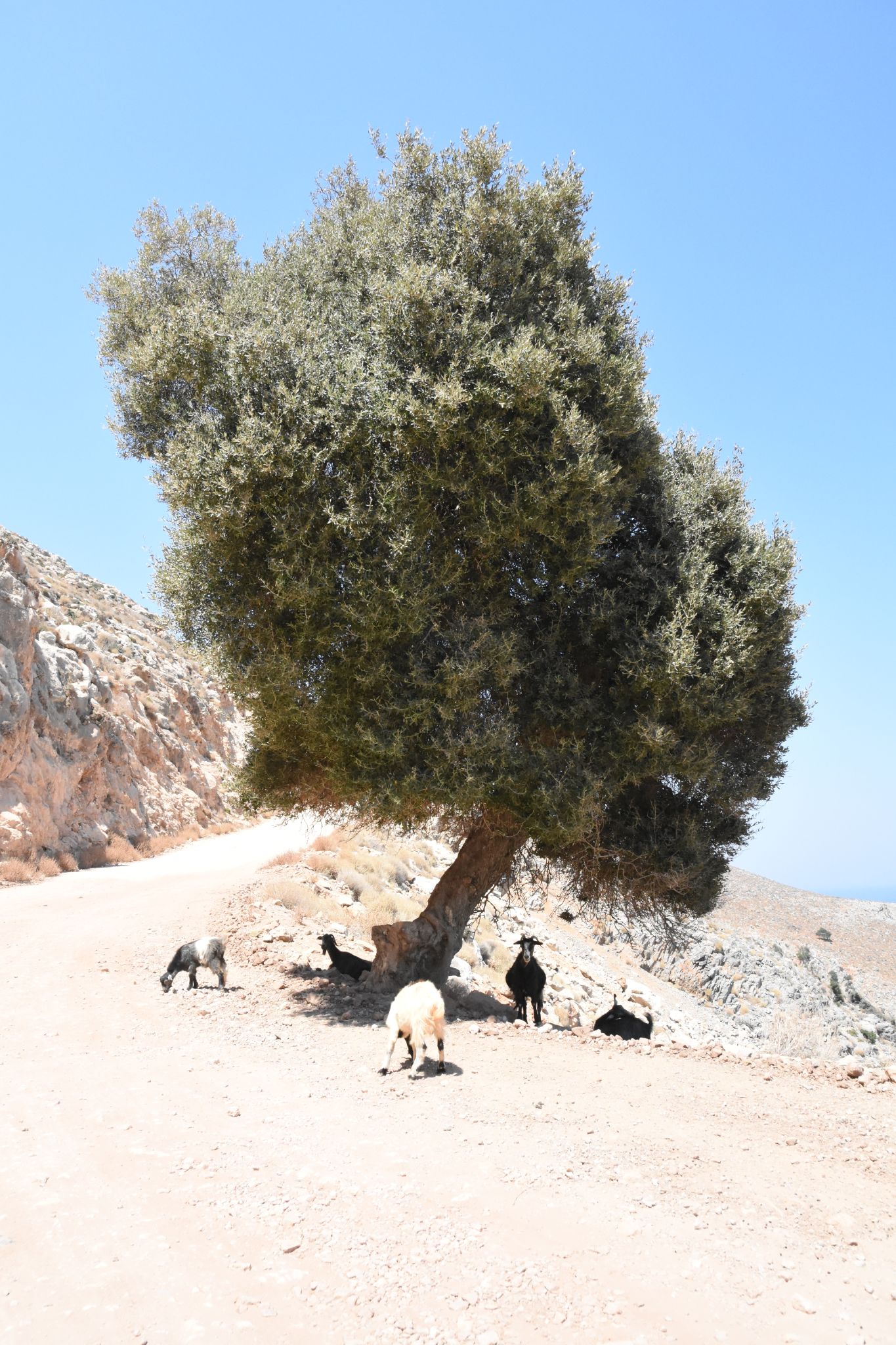 2023 08 24 13.01.59 nikon d7200