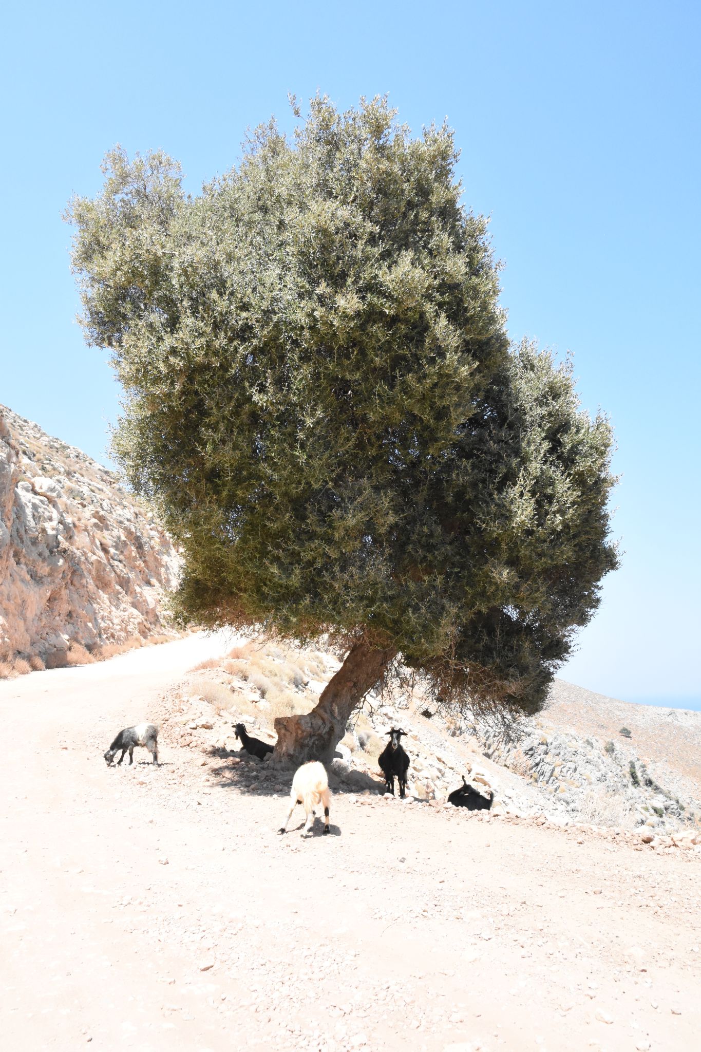 2023 08 24 13.02.00 nikon d7200