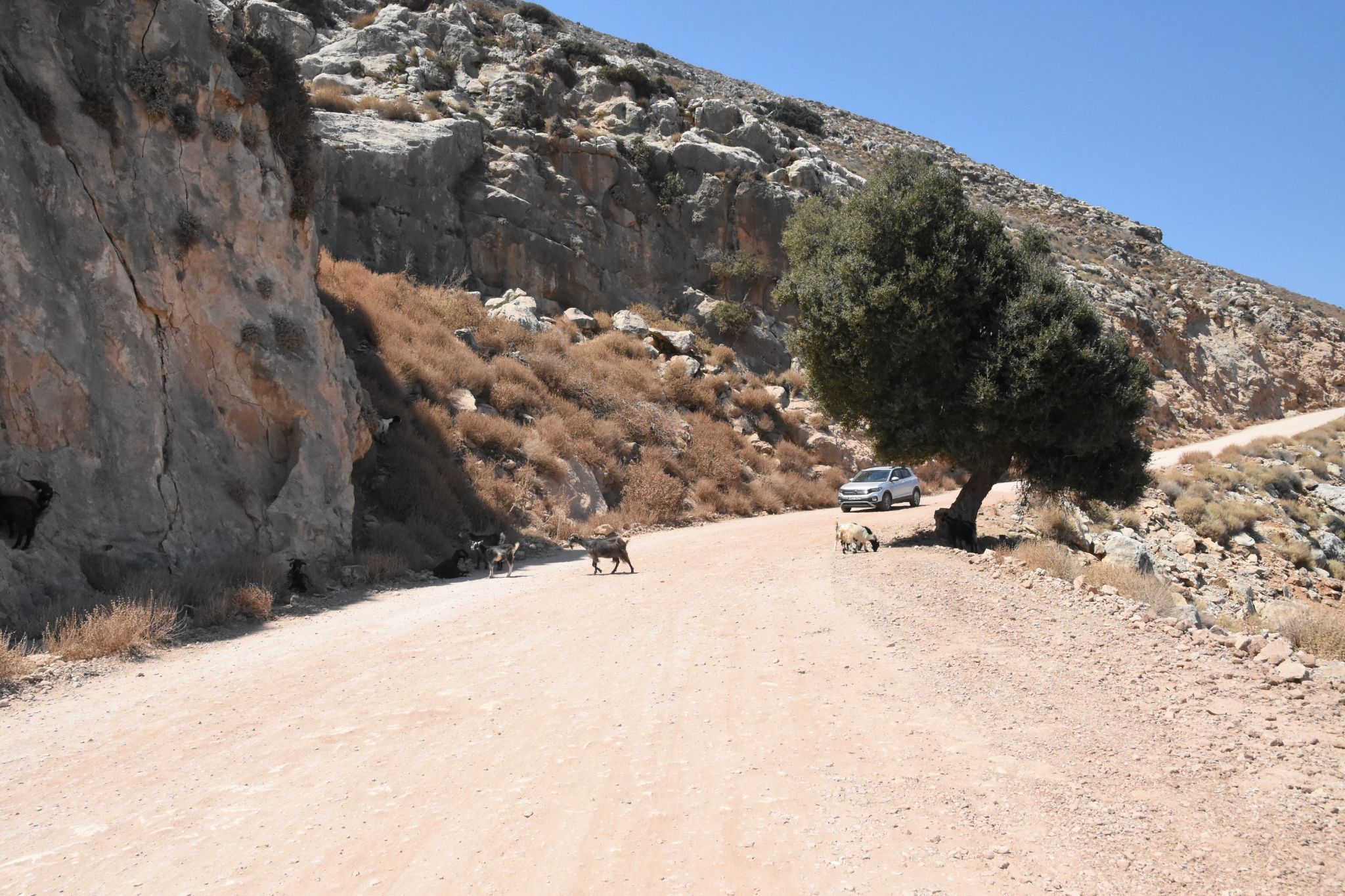 2023 08 24 13.02.32 nikon d7200