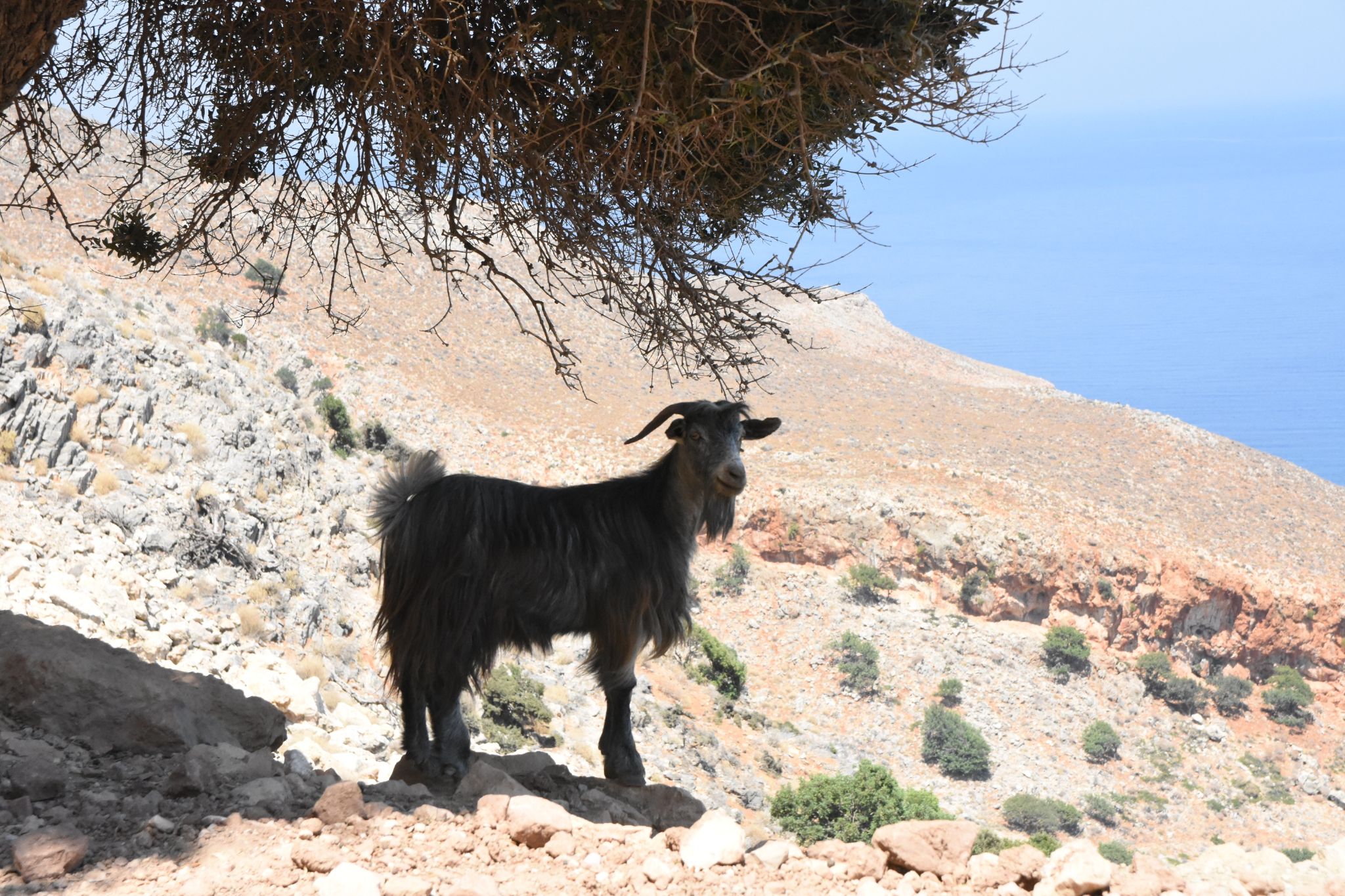 2023 08 24 13.05.47 nikon d7200