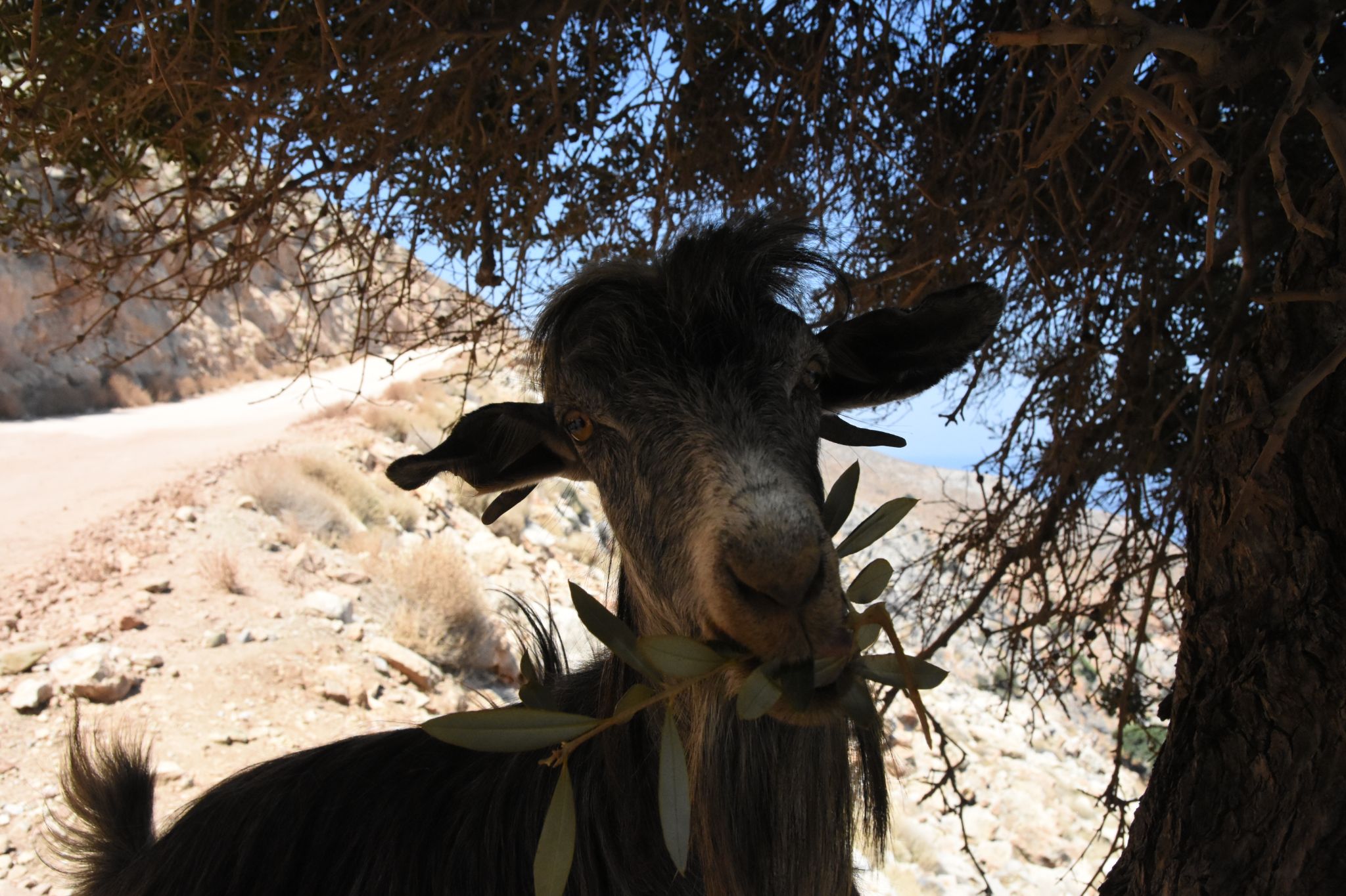 2023 08 24 13.12.23.1 nikon d7200