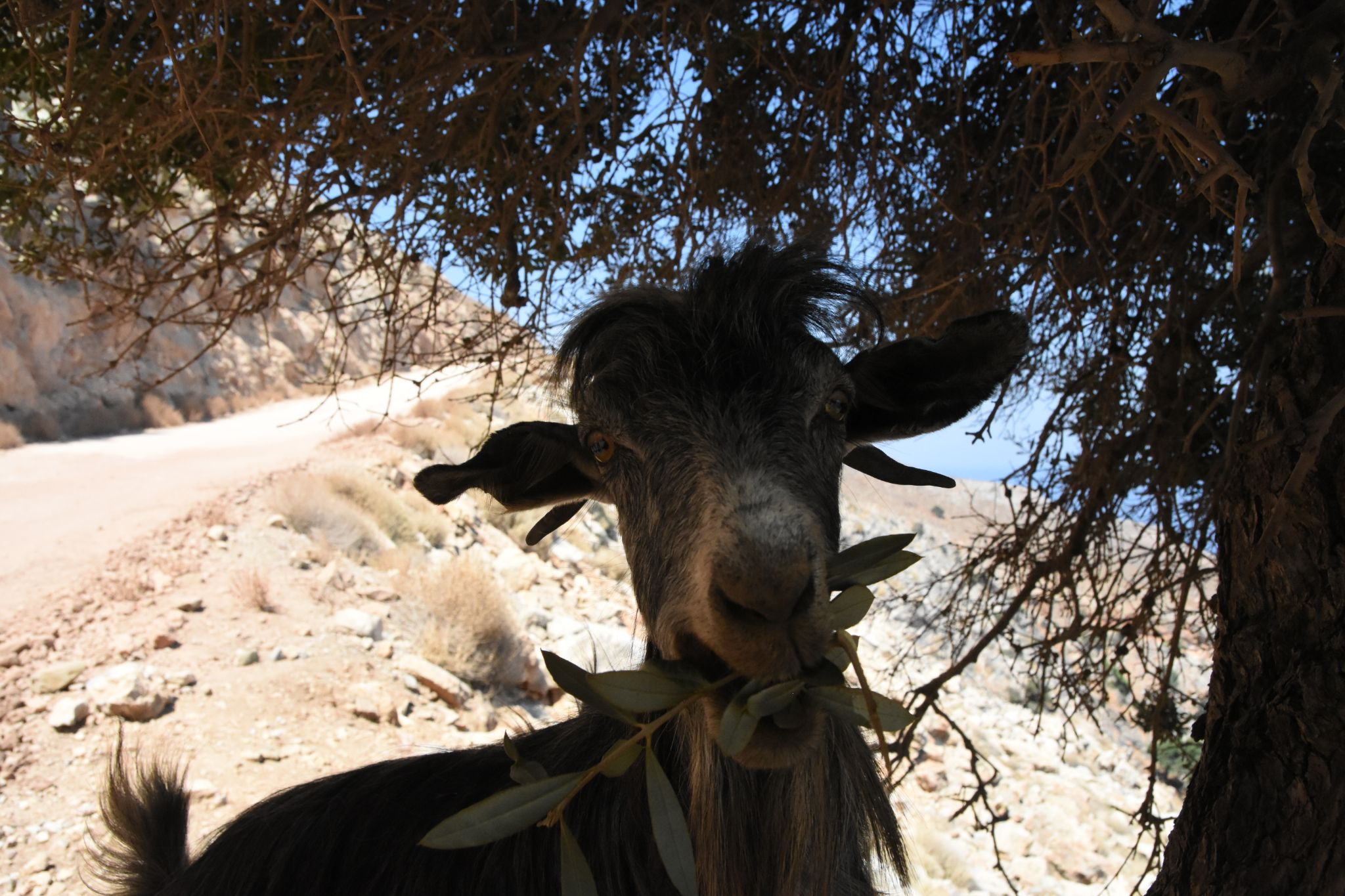 2023 08 24 13.12.23 nikon d7200