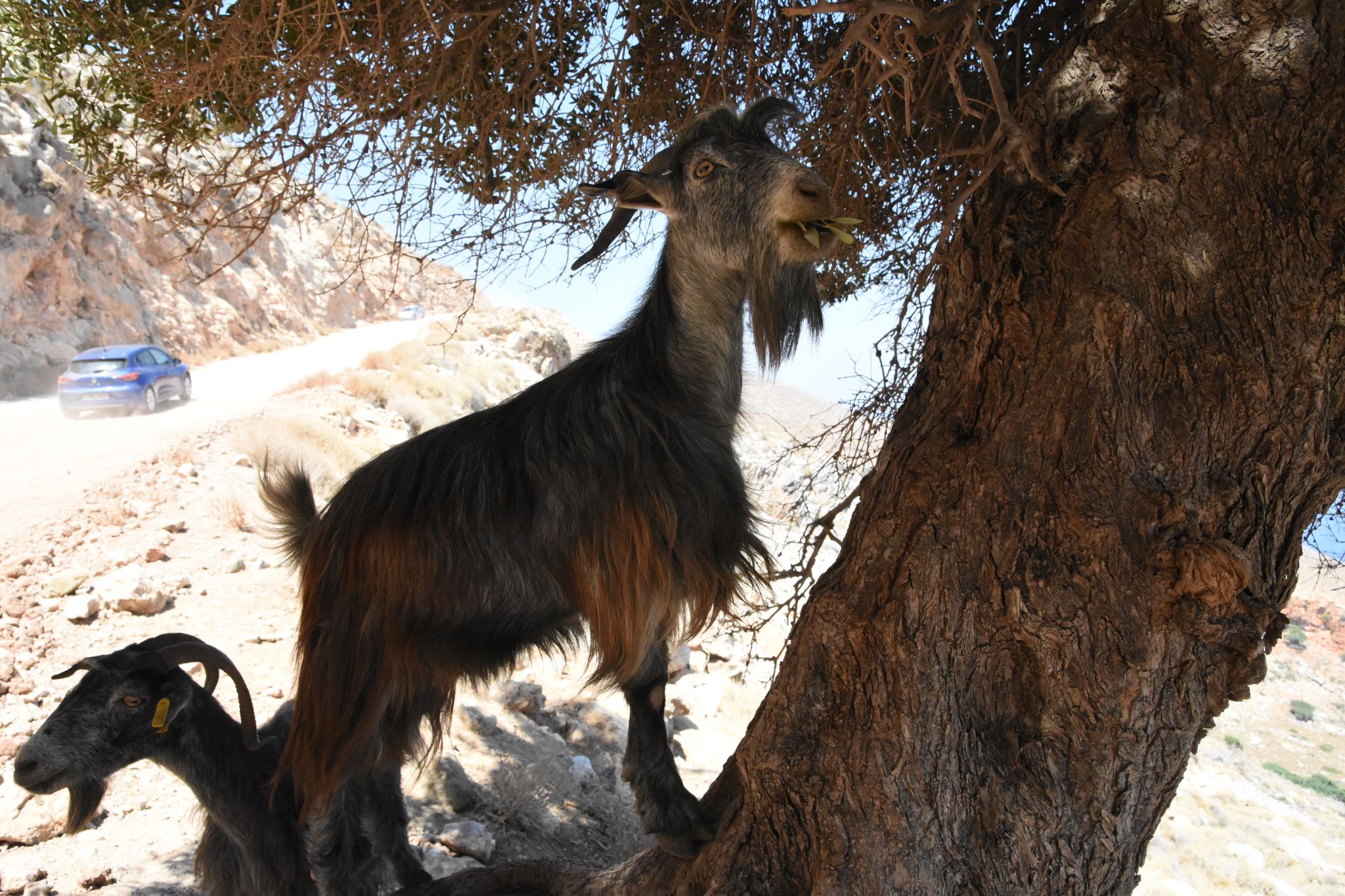 2023 08 24 13.12.43 nikon d7200