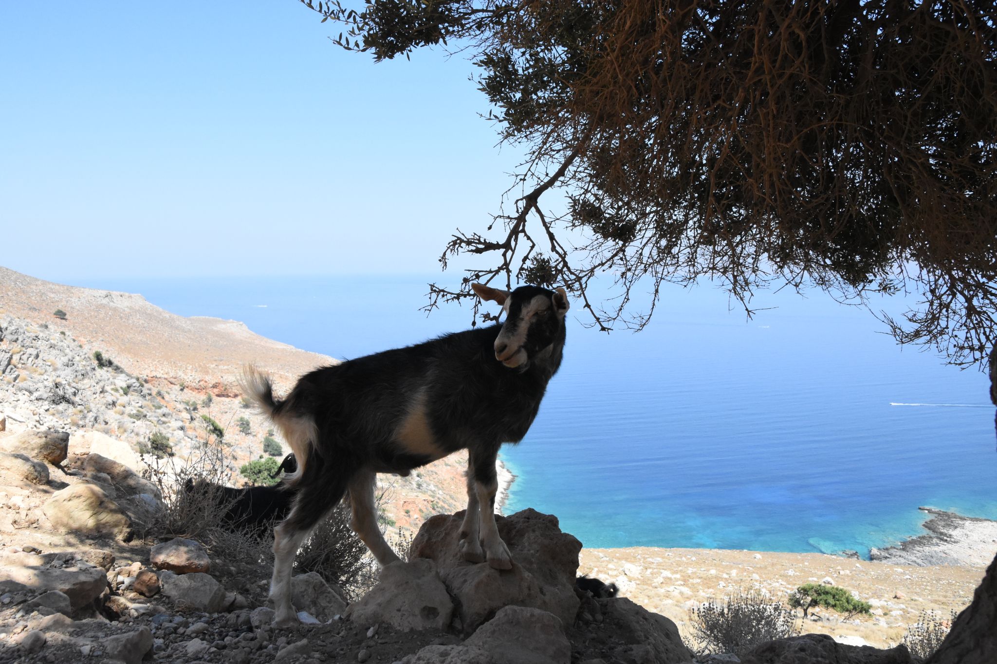 2023 08 24 13.16.21 nikon d7200