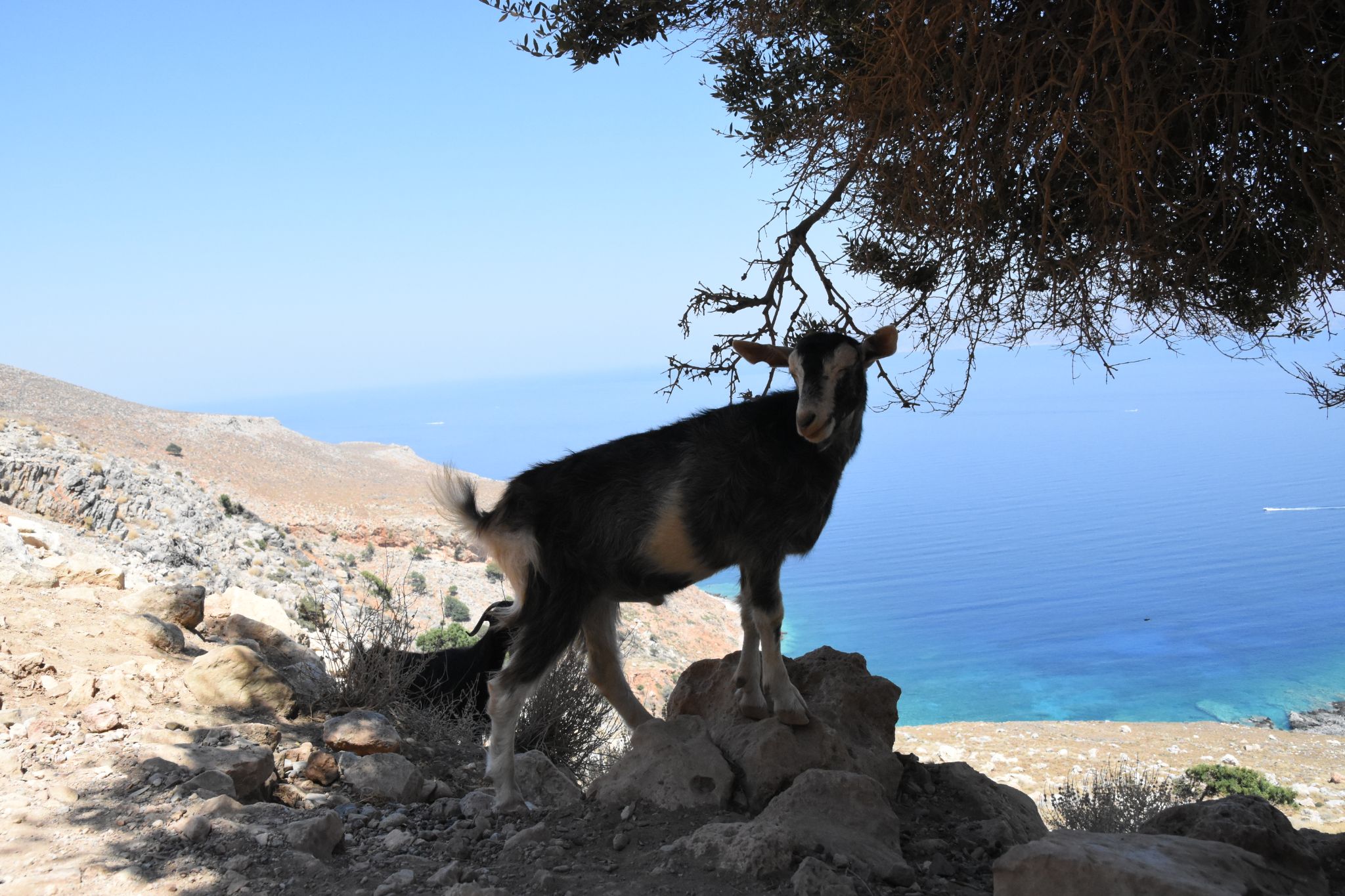 2023 08 24 13.16.24 nikon d7200