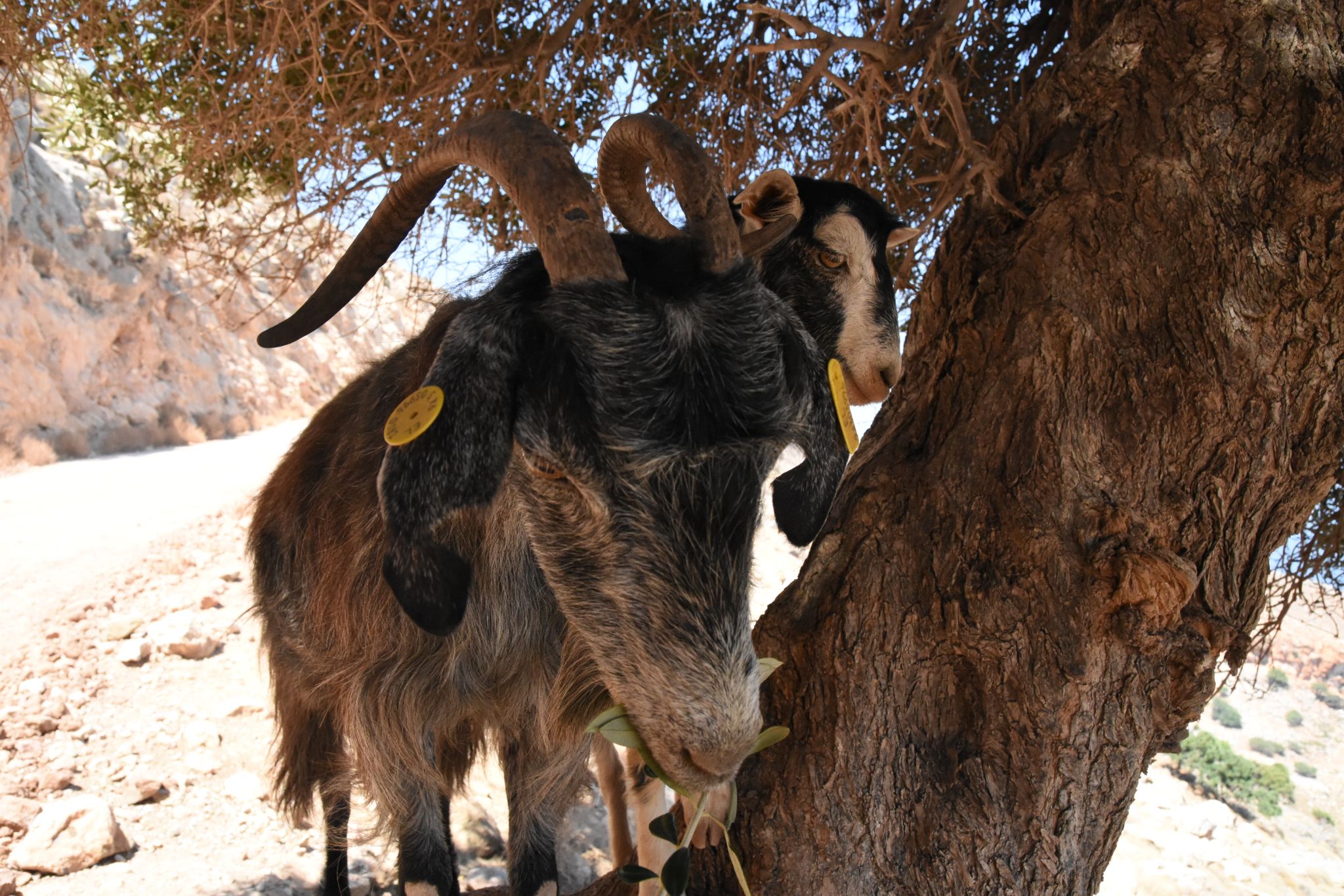 2023 08 24 13.17.24 nikon d7200