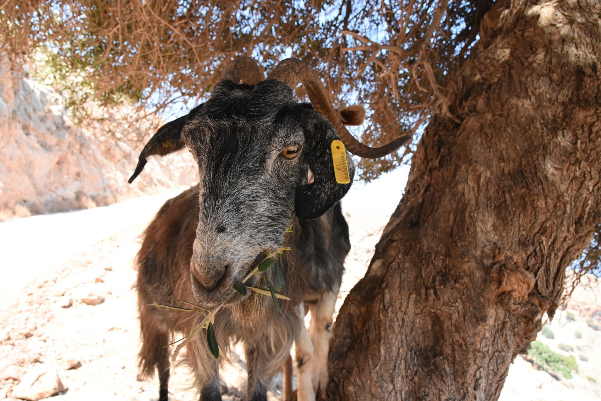 2023 08 24 13.17.25 nikon d7200