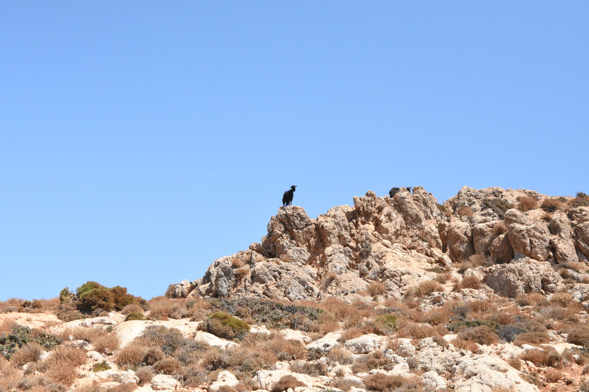 2023 08 24 13.48.39 nikon d7200