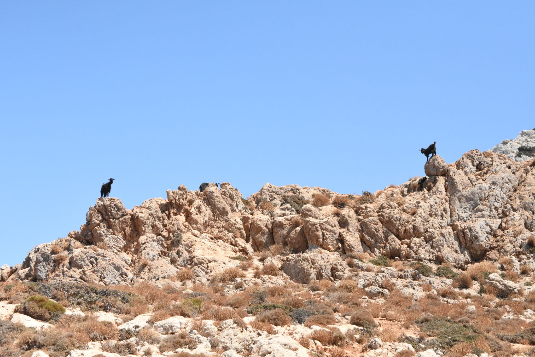 2023 08 24 13.48.45 nikon d7200