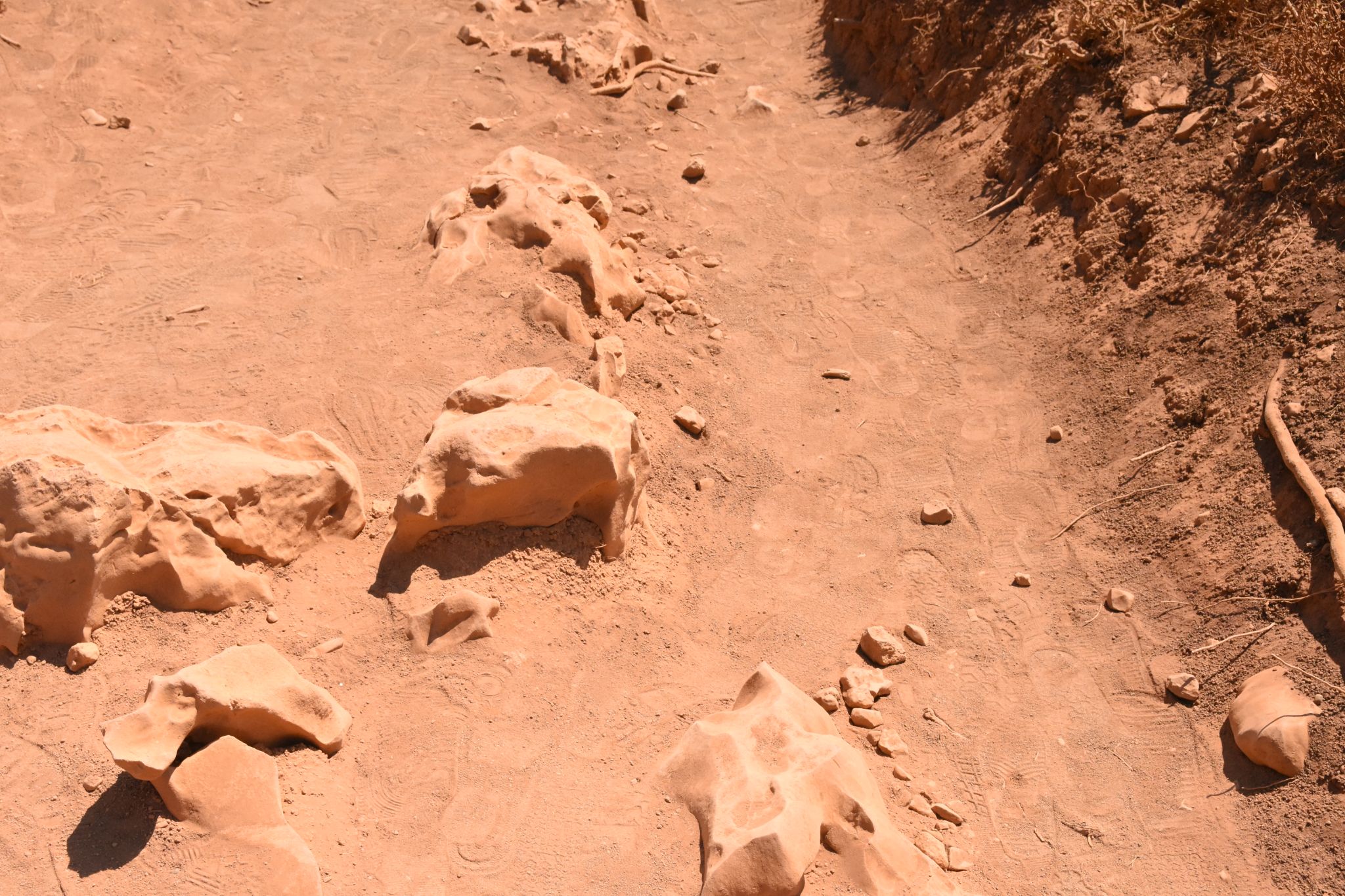 2023 08 24 13.50.06 nikon d7200