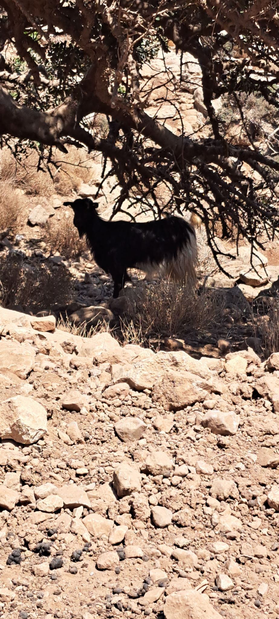 2023 08 24 13.53.48 samsung a53