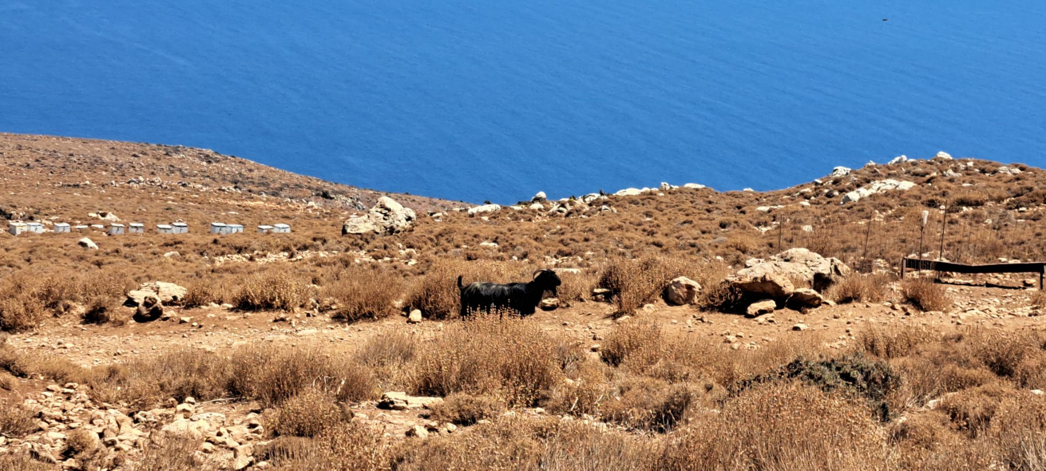 2023 08 24 13.54.28 samsung a53