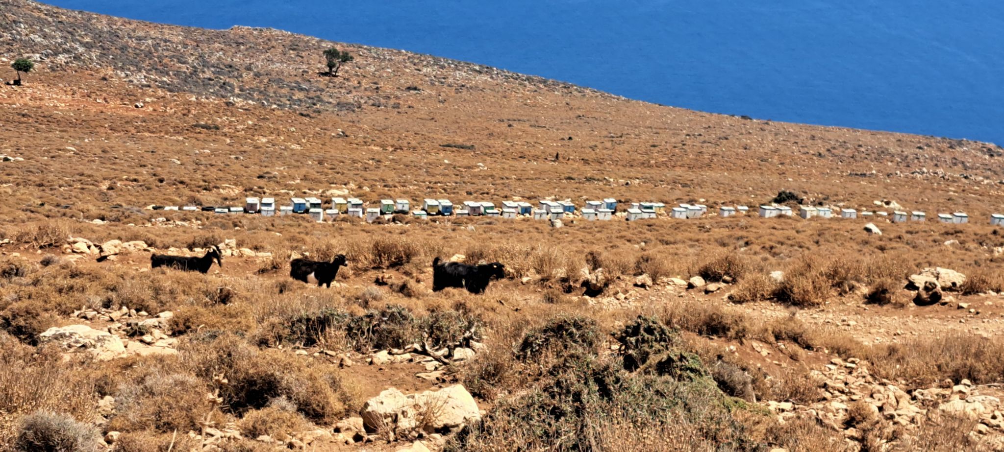 2023 08 24 13.54.32 samsung a53