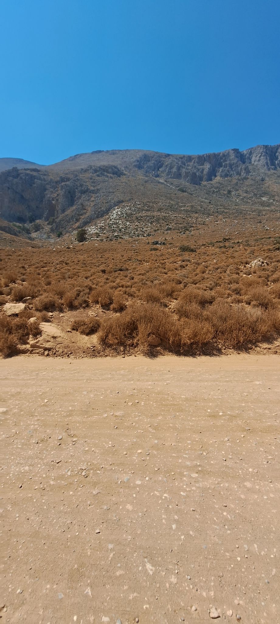 2023 08 24 13.56.04 samsung a53