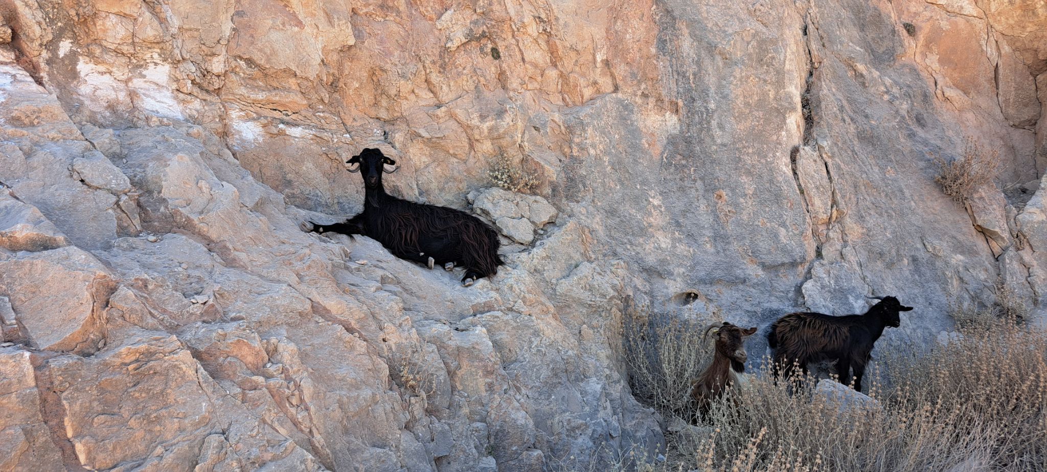 2023 08 24 14.01.36 samsung a53