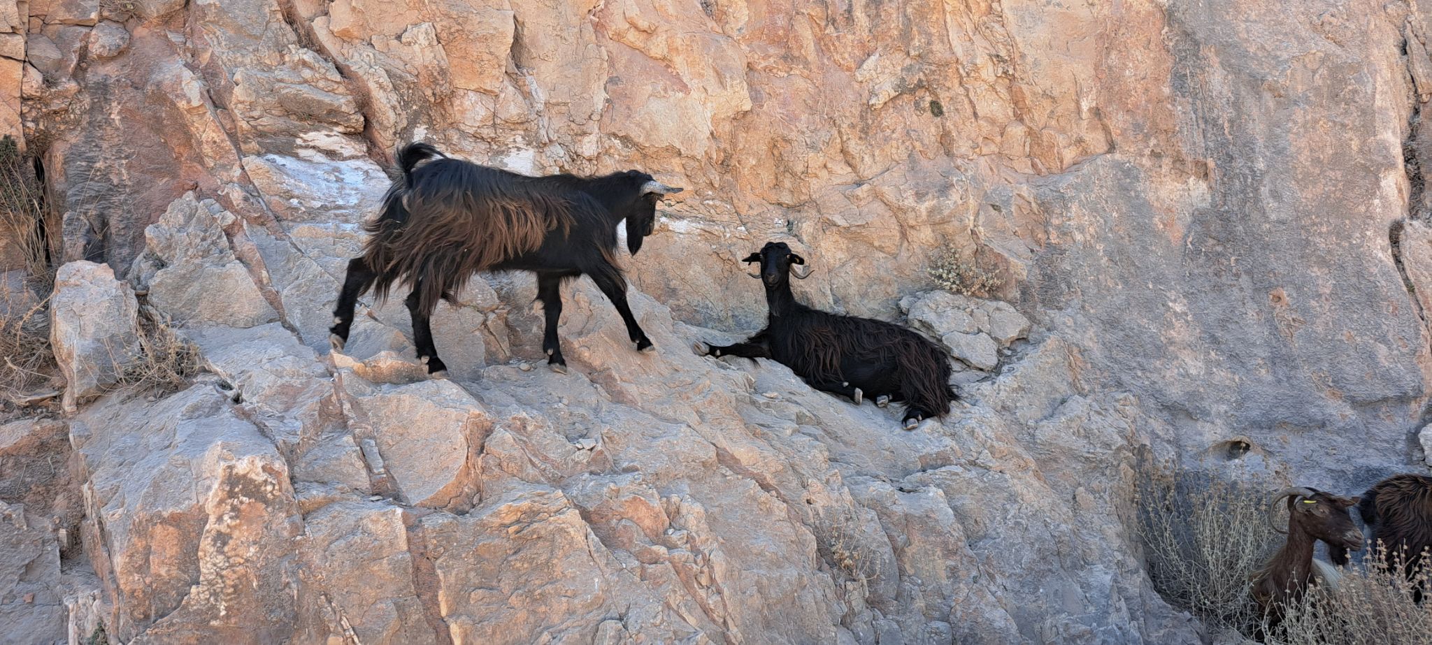 2023 08 24 14.01.44 samsung a53