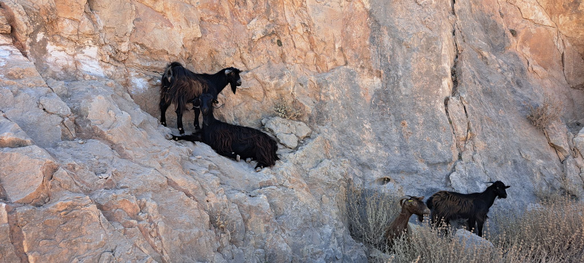 2023 08 24 14.01.51 samsung a53