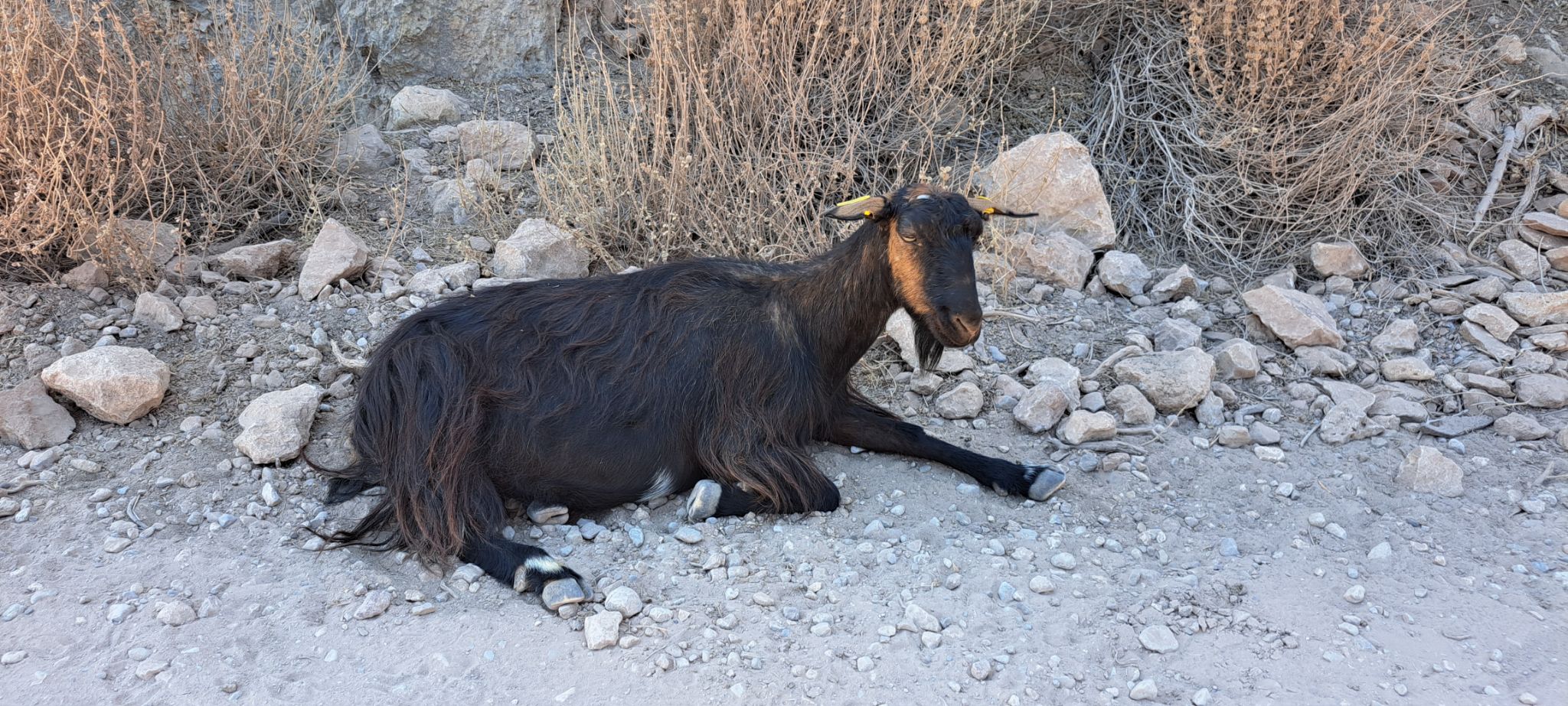 2023 08 24 14.02.06 samsung a53