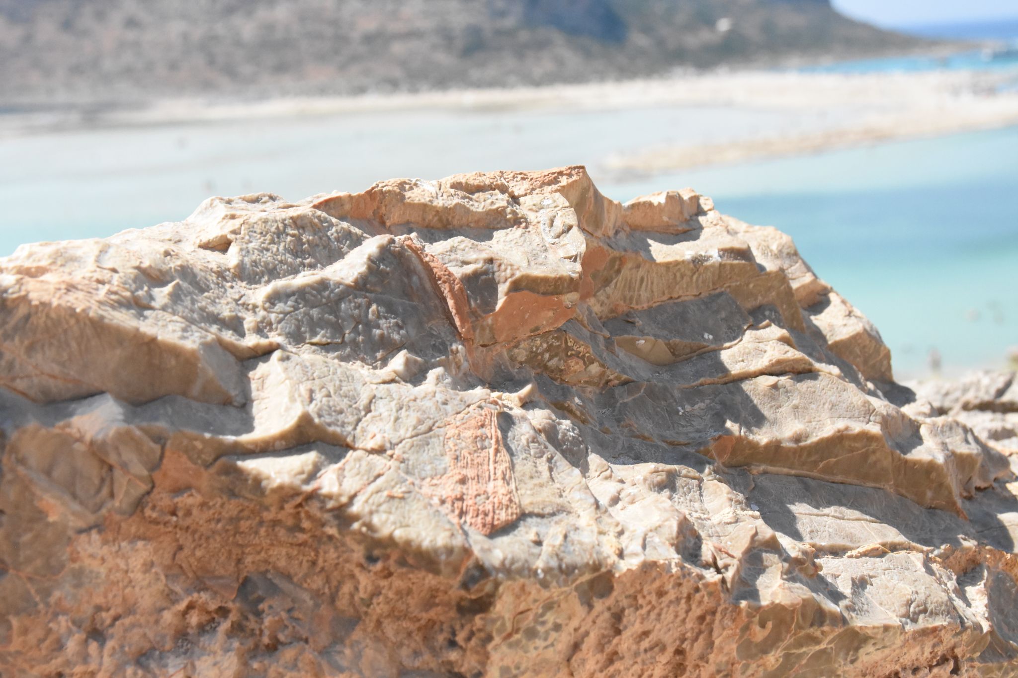 2023 08 24 14.17.25 nikon d7200