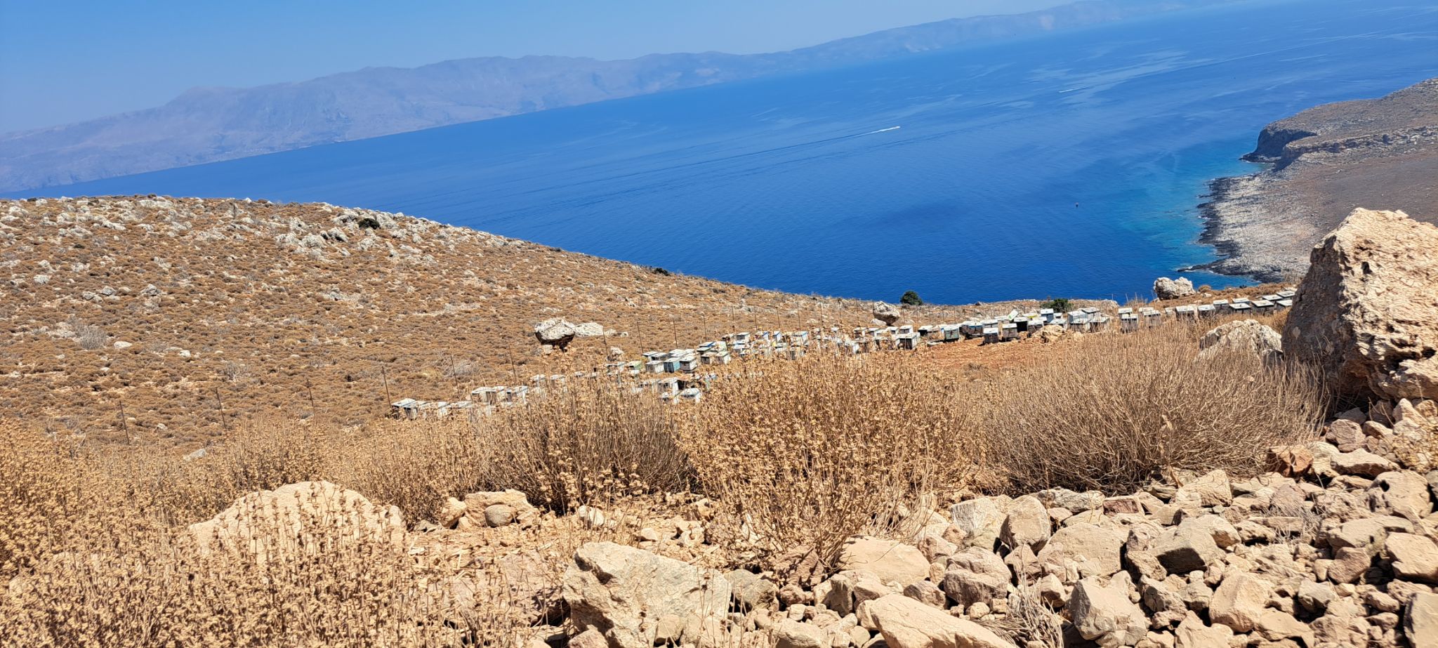 2023 08 24 14.22.59 samsung a53