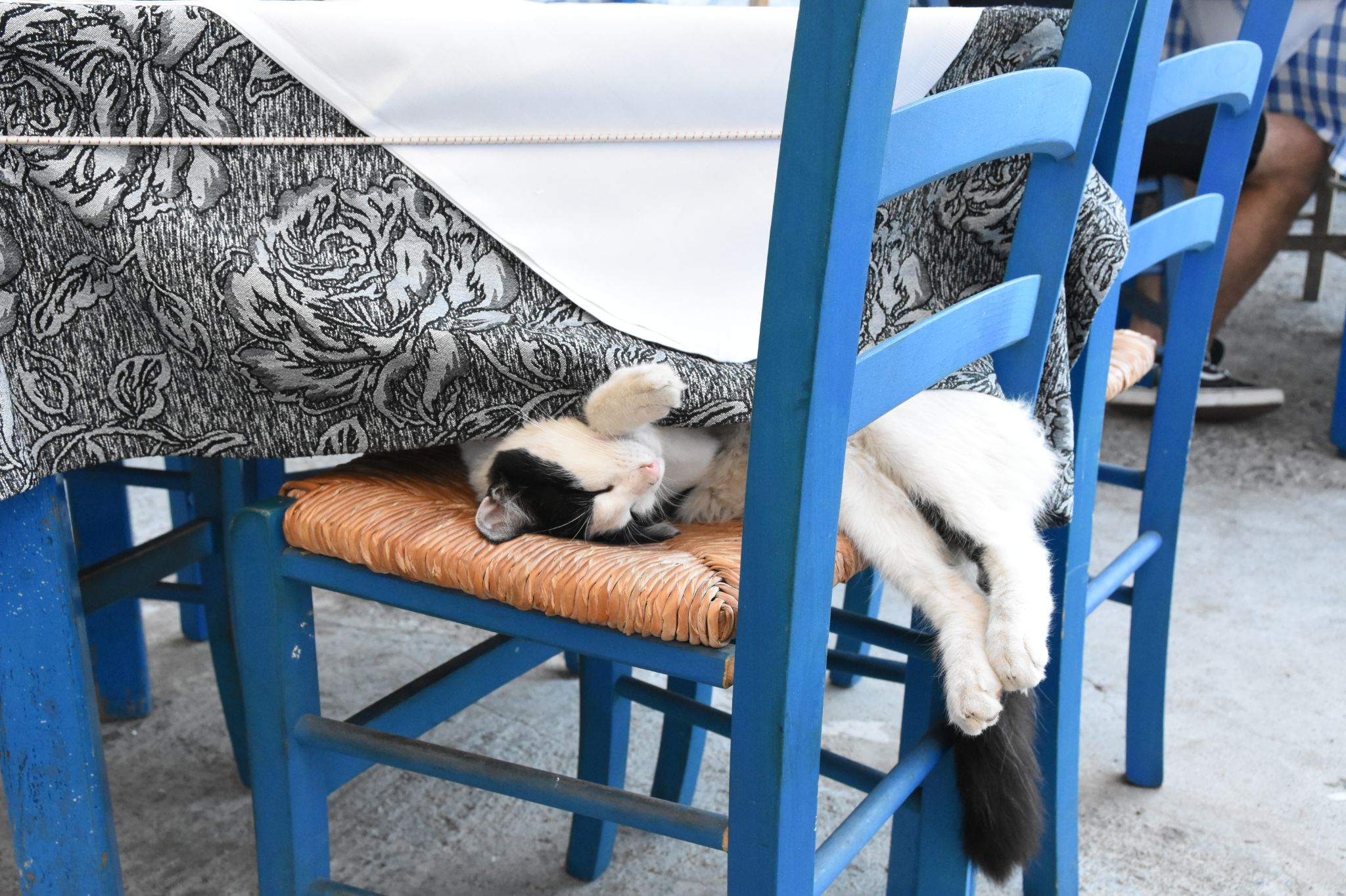 2023 08 23 16.03.13 nikon d7200