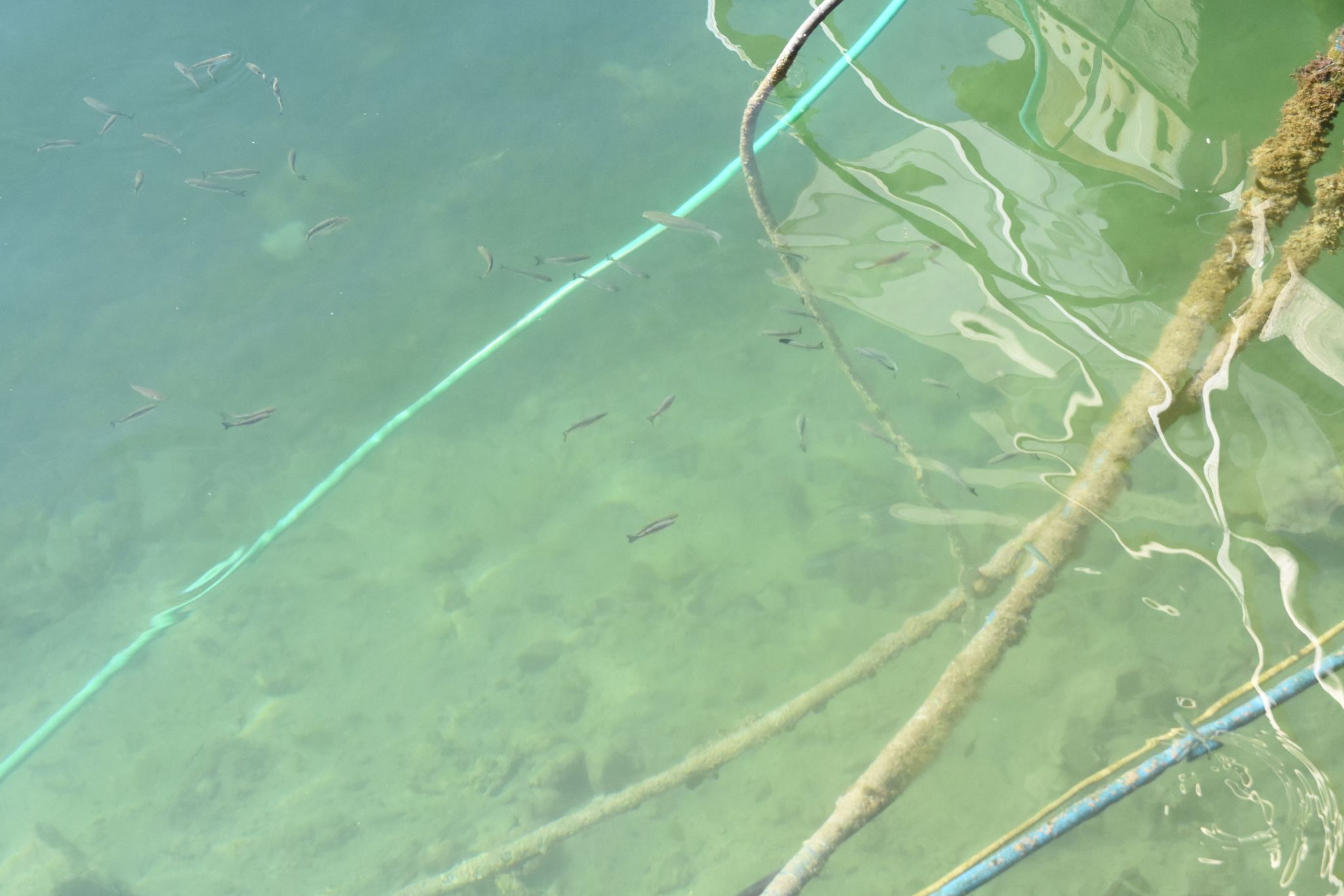 2023 08 23 16.04.37 nikon d7200