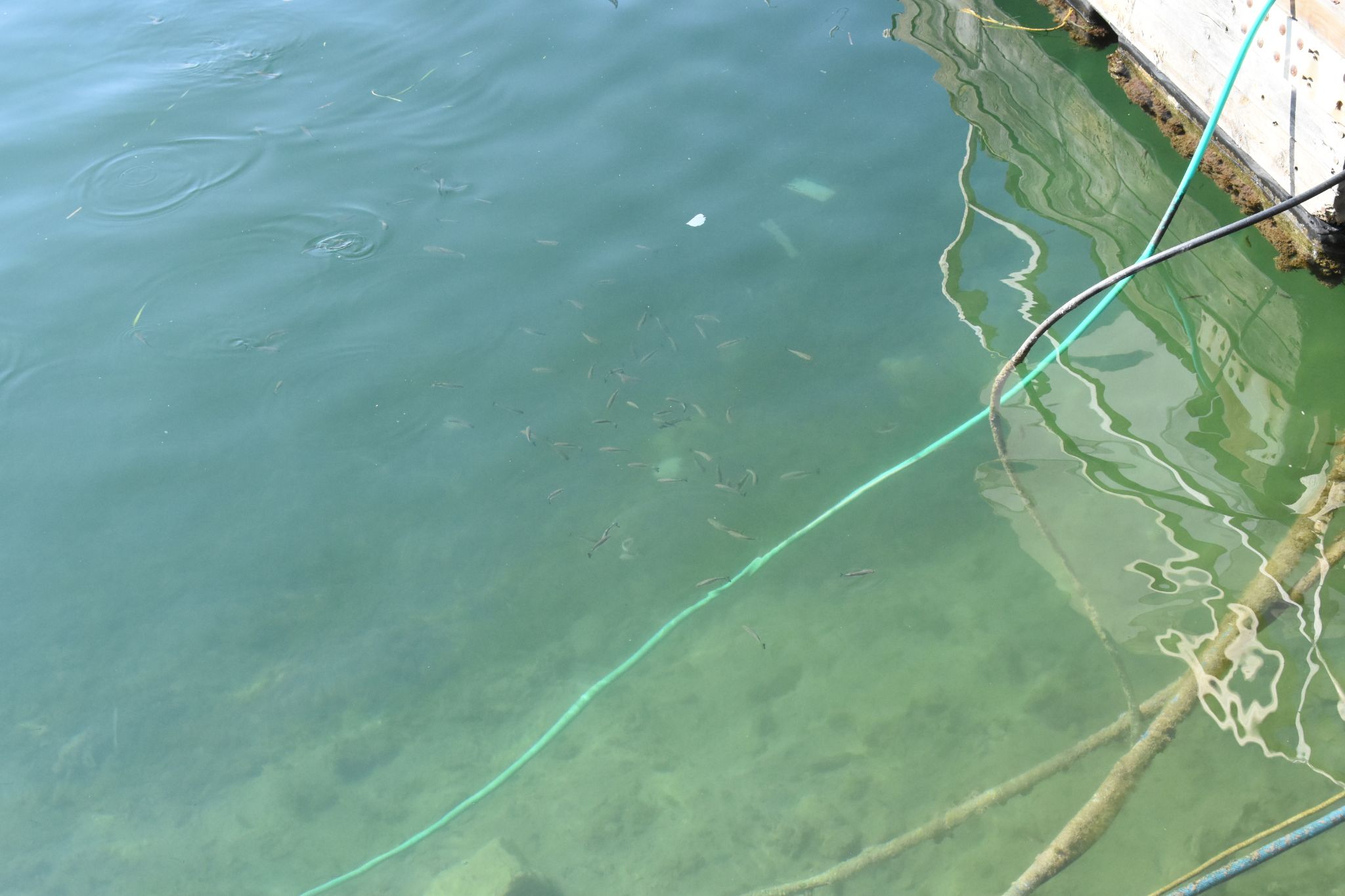 2023 08 23 16.04.40 nikon d7200