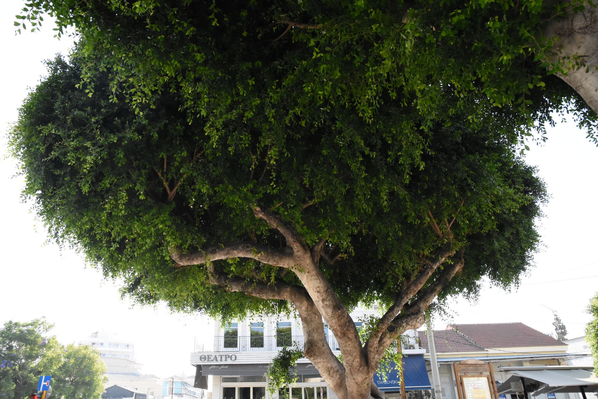 2023 08 23 16.54.55 nikon d7200