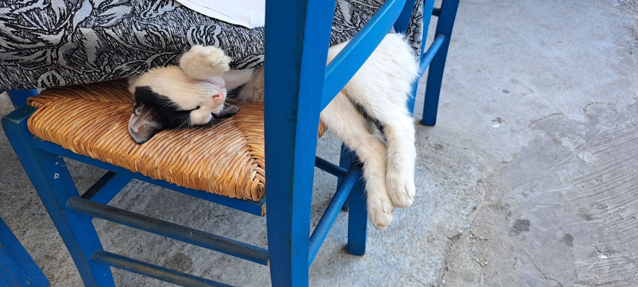 2023 08 23 17.03.11 samsung a53