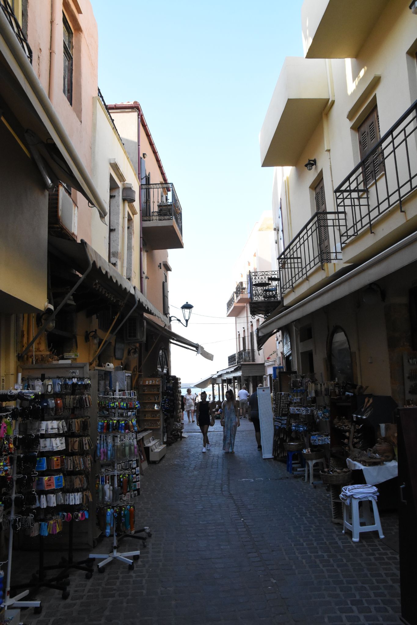 2023 08 23 17.24.36 nikon d7200