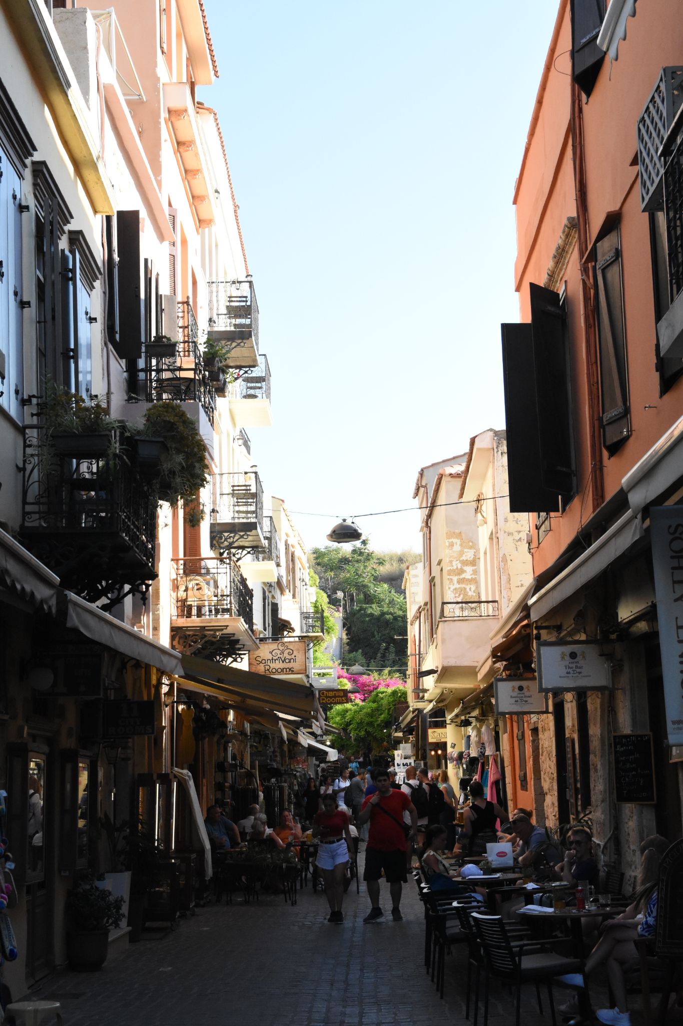 2023 08 23 17.25.17 nikon d7200