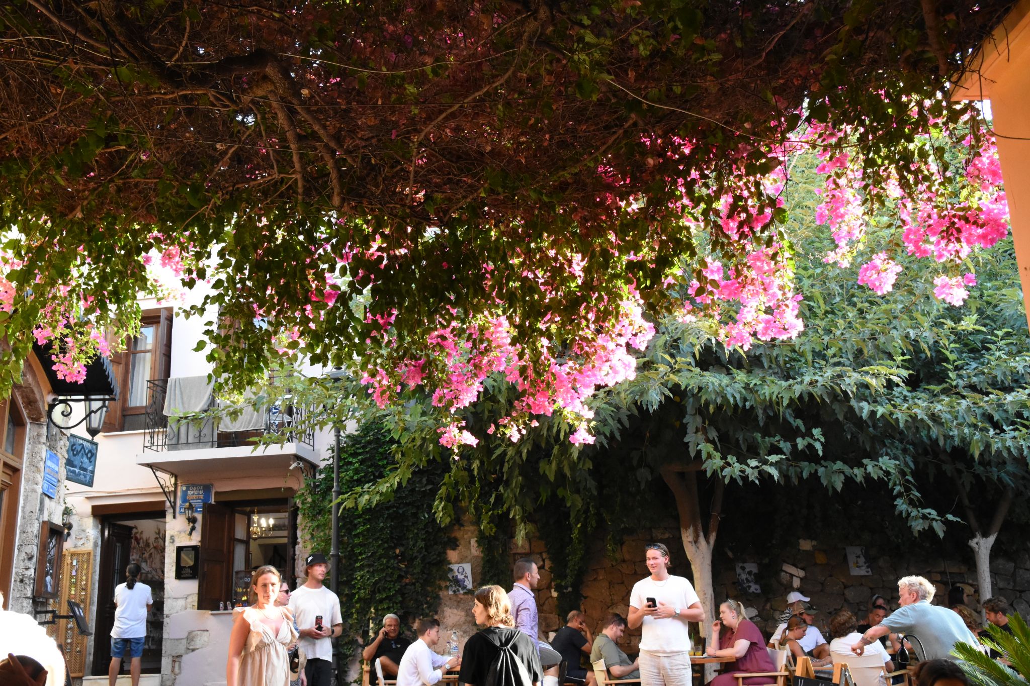 2023 08 23 17.32.04 nikon d7200