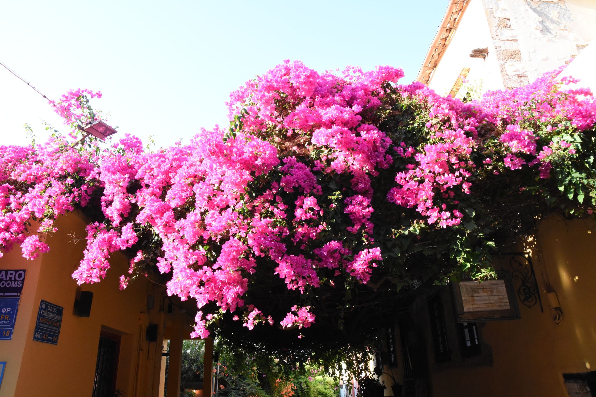 2023 08 23 17.32.26 nikon d7200