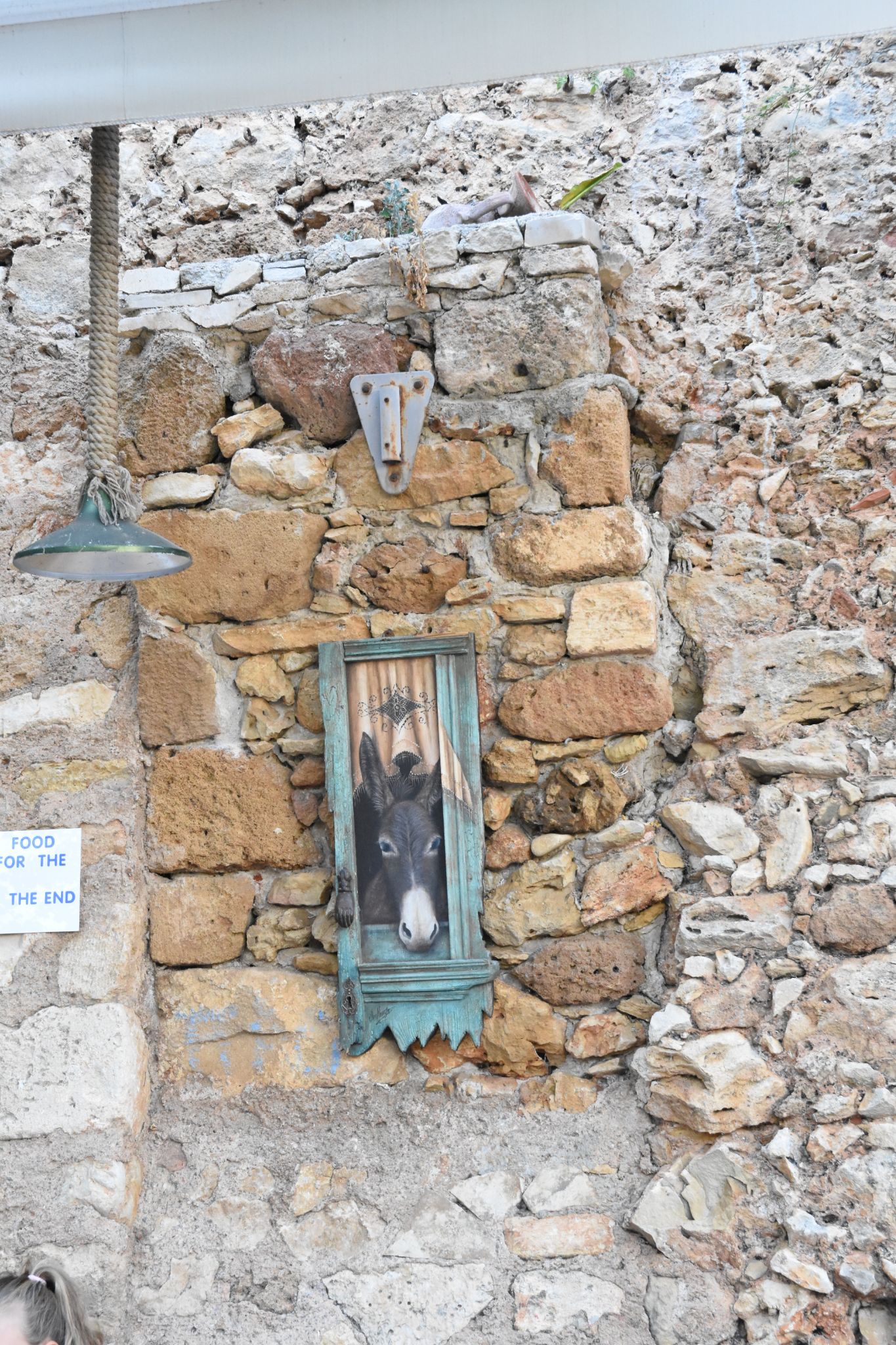 2023 08 23 17.35.21 nikon d7200