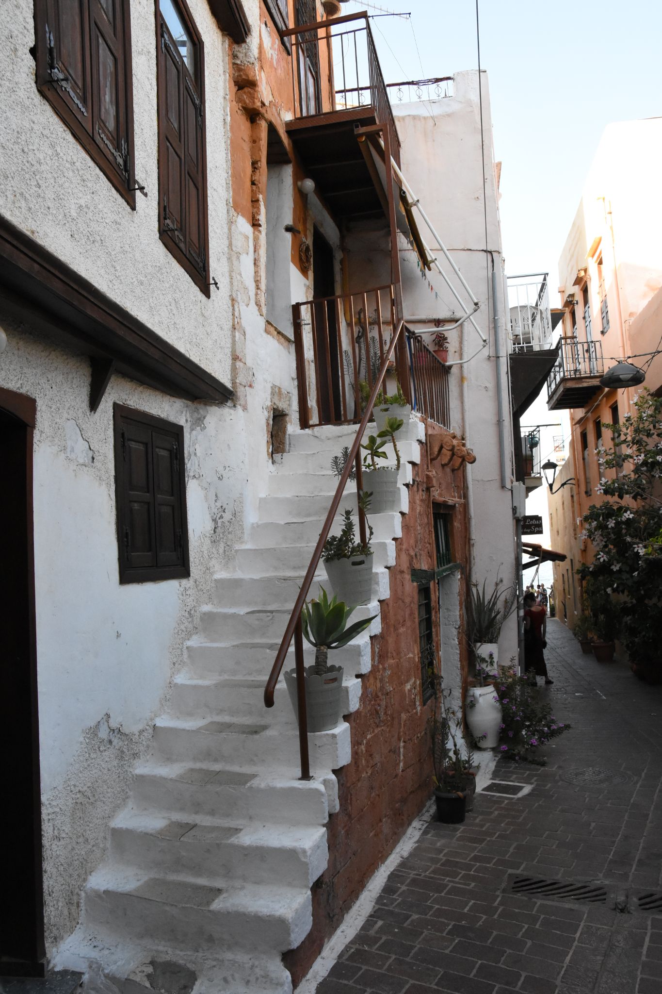 2023 08 23 17.36.07 nikon d7200