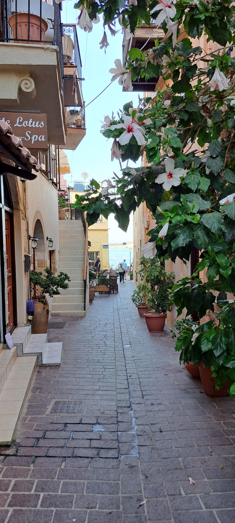 2023 08 23 18.36.27 samsung a53