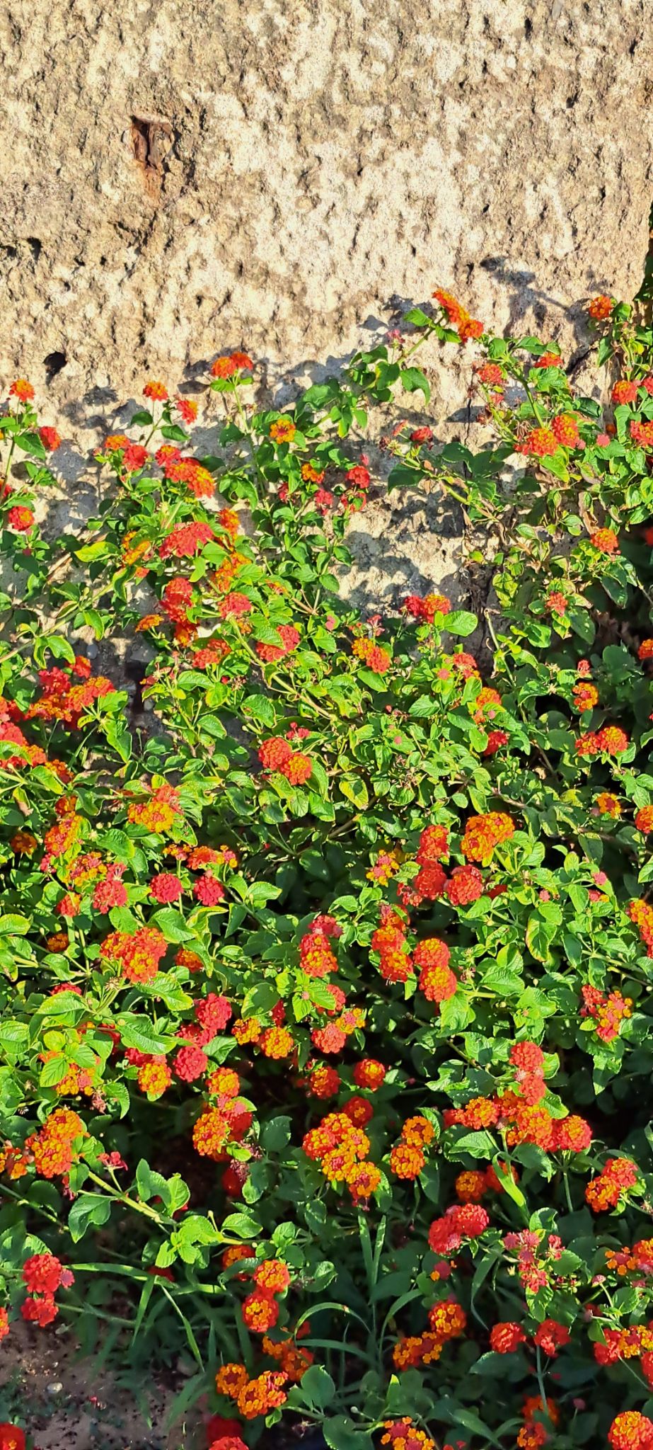 2023 08 23 18.48.20 samsung a53