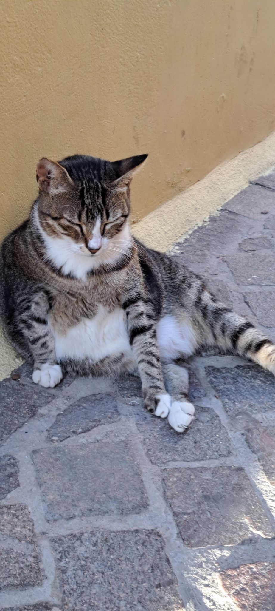 2023 08 23 18.56.59 samsung a53