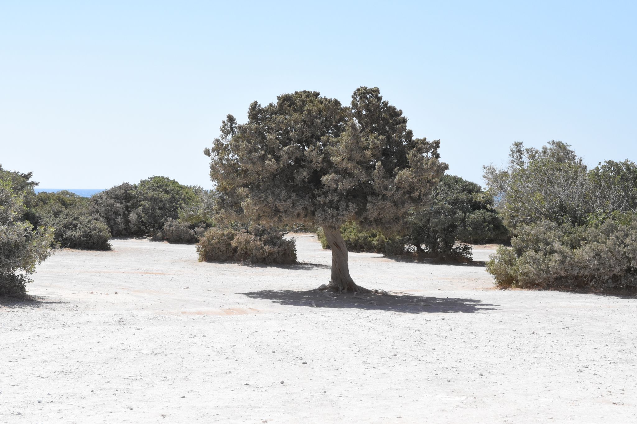 2023 08 22 11.09.35 nikon d7200