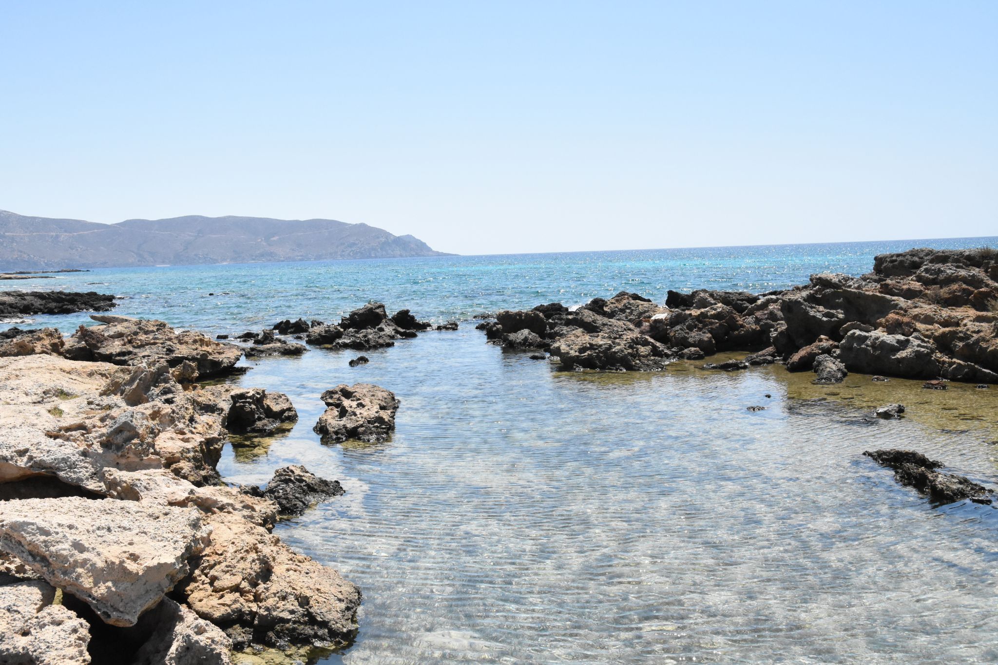 2023 08 22 11.43.07 nikon d7200