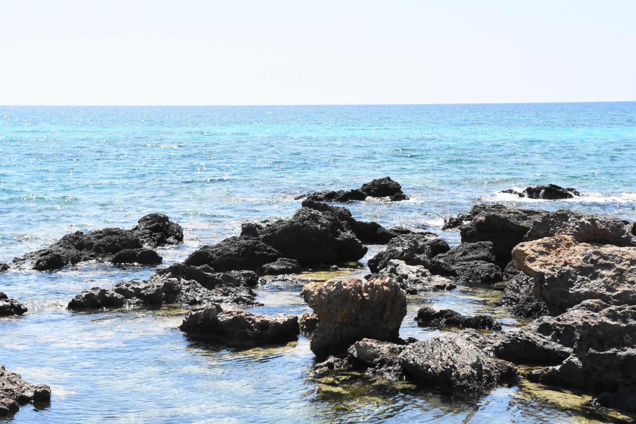 2023 08 22 11.44.24 nikon d7200