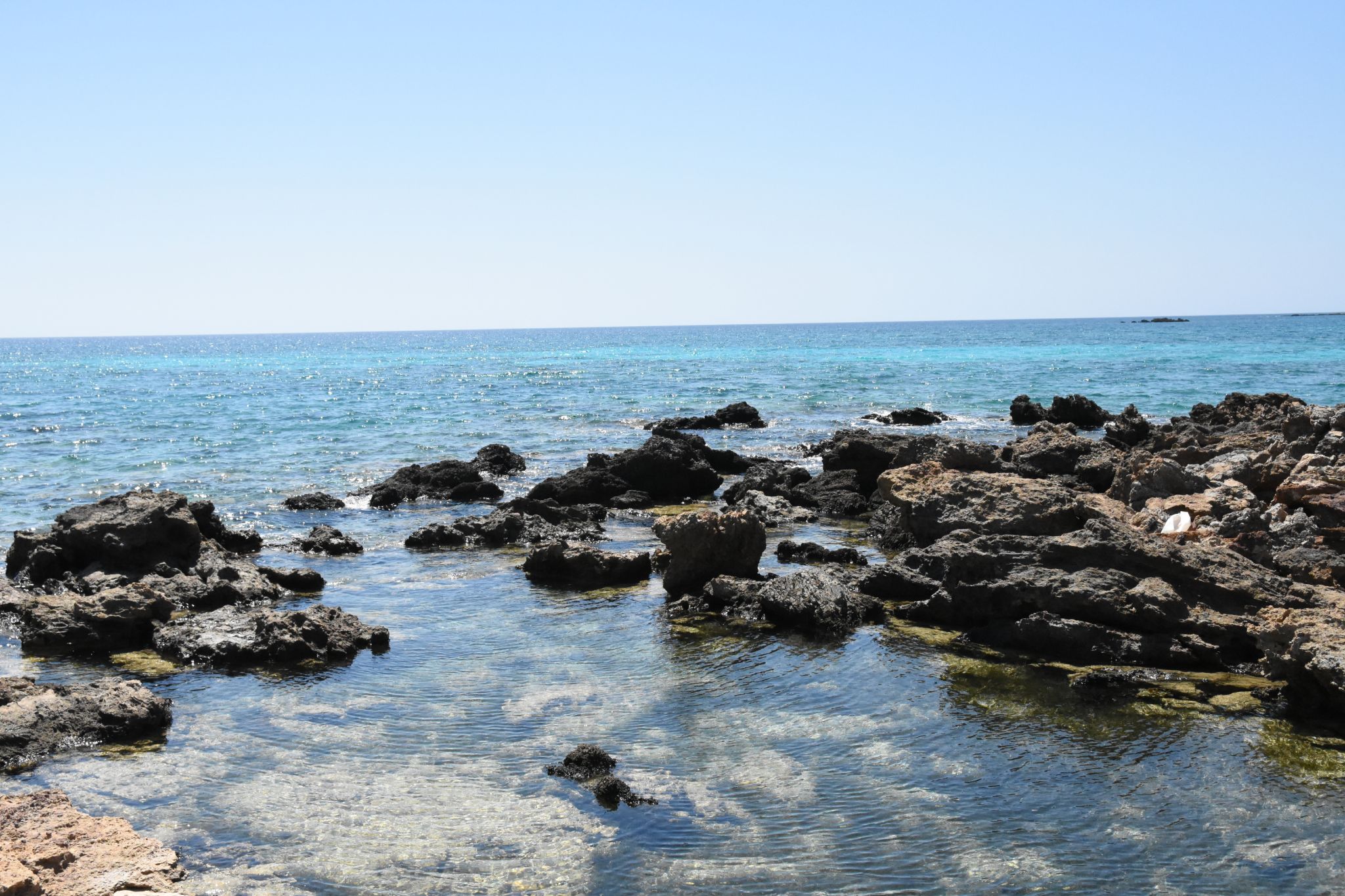 2023 08 22 11.44.28 nikon d7200