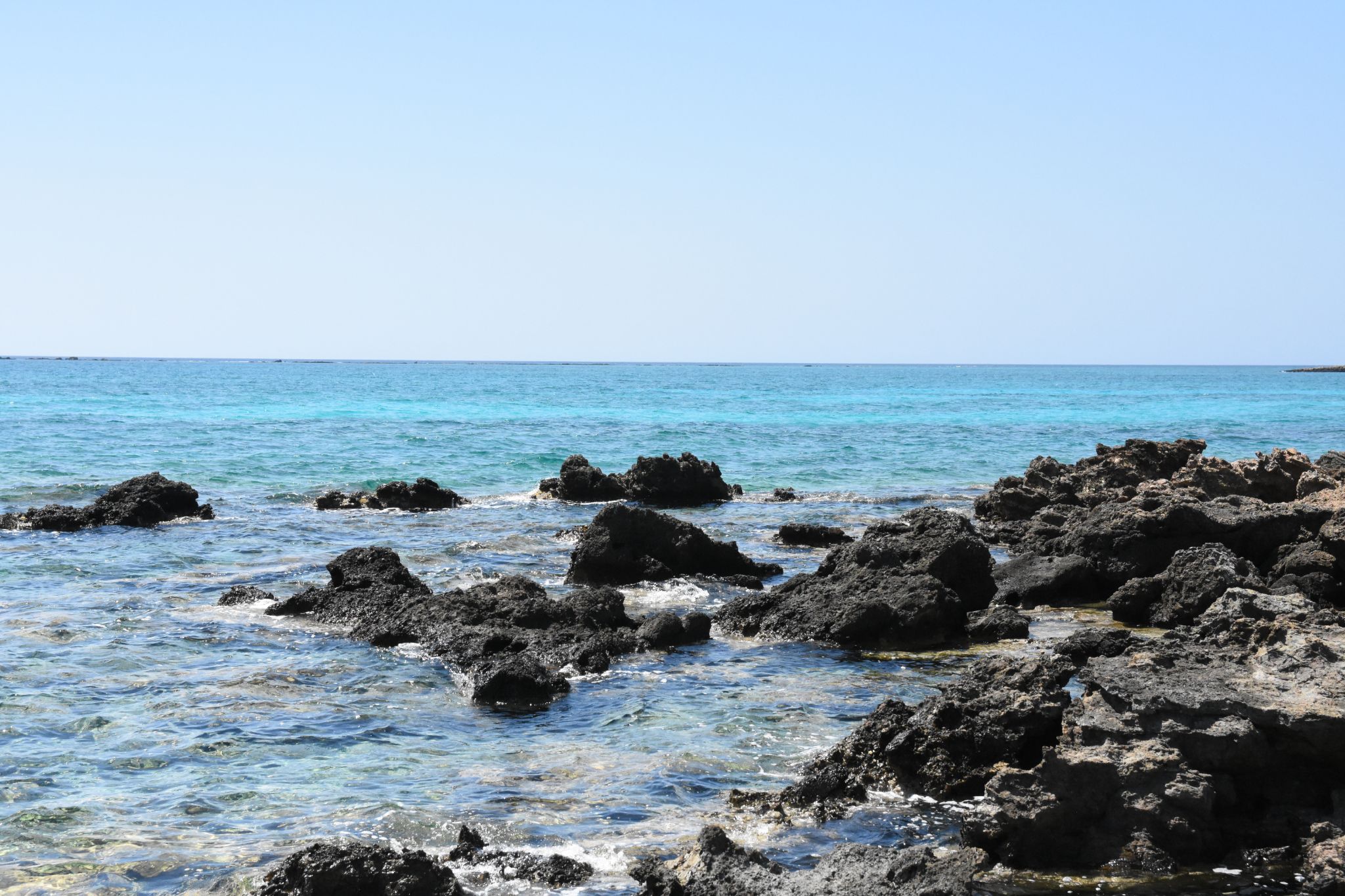 2023 08 22 11.45.26 nikon d7200