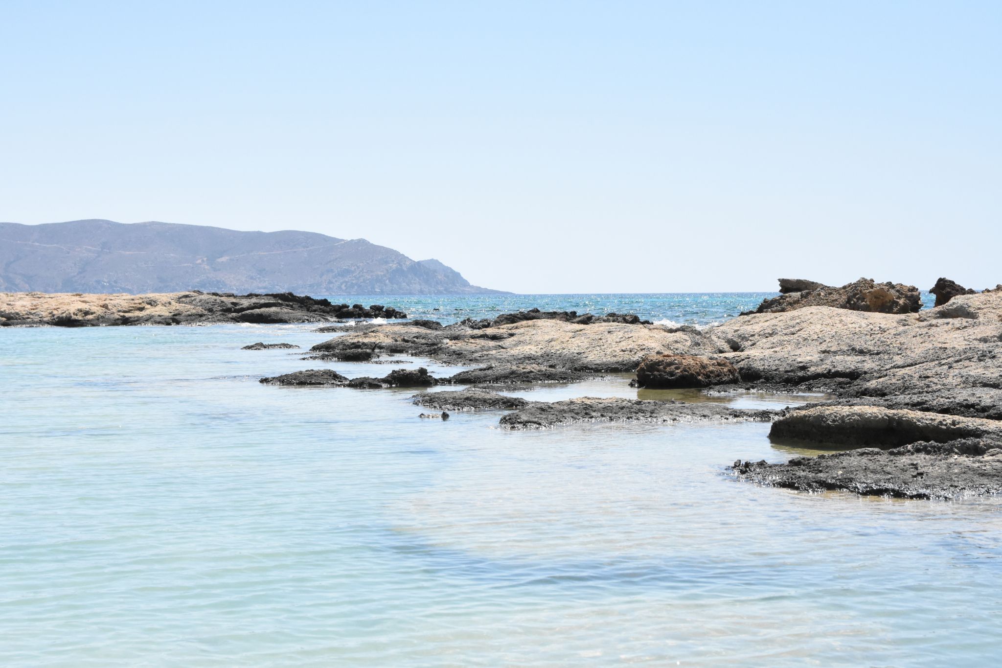 2023 08 22 11.46.30 nikon d7200