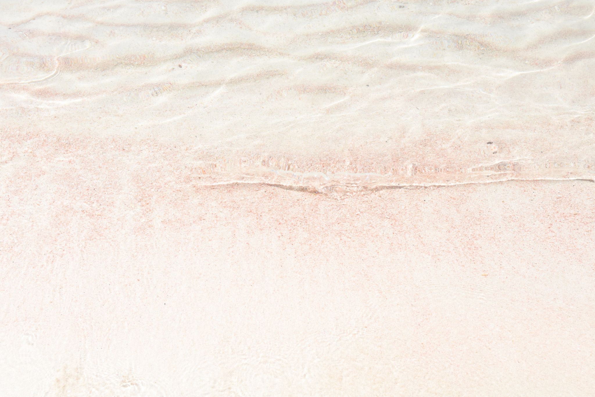 2023 08 22 11.52.21 nikon d7200