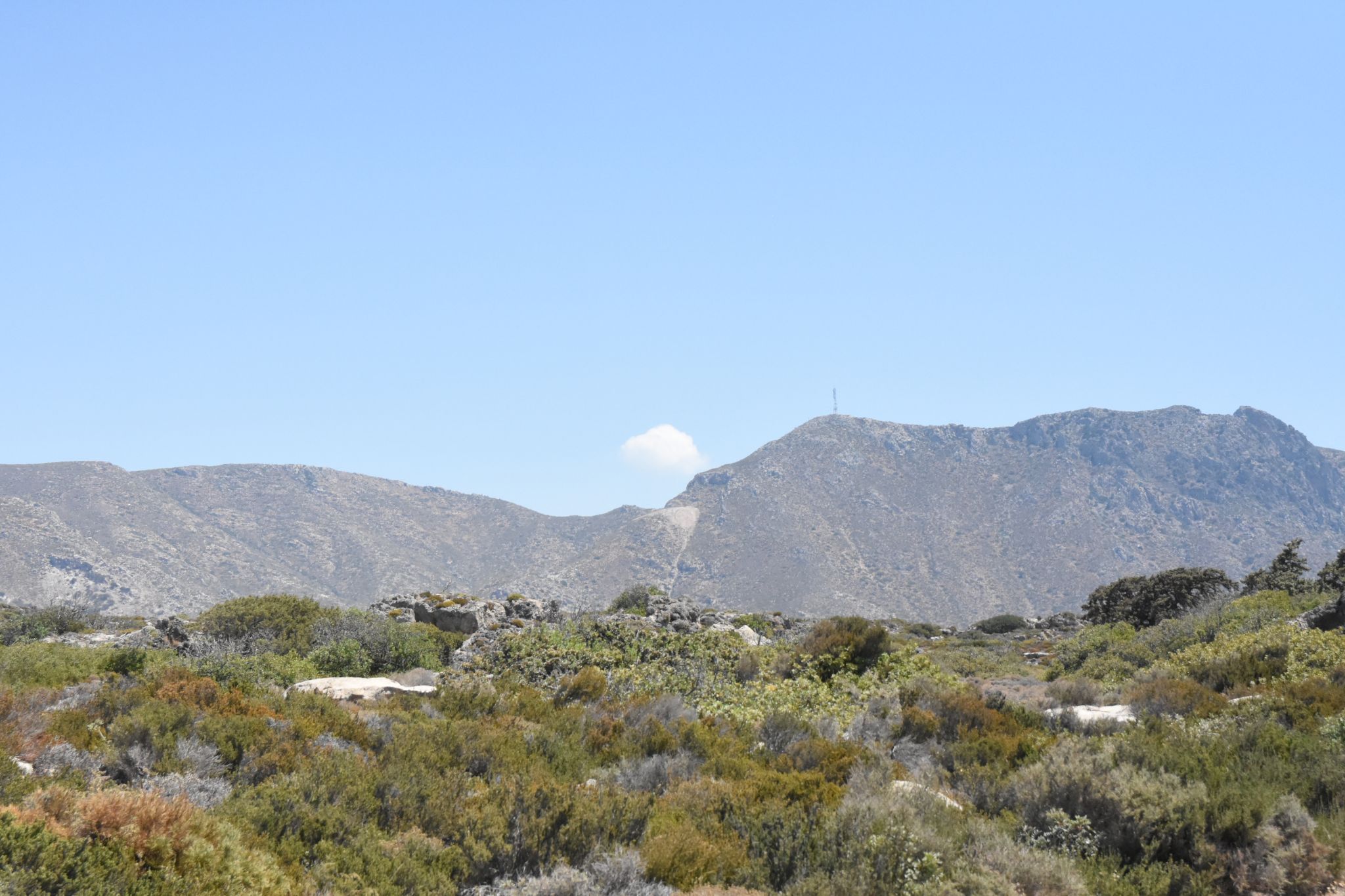 2023 08 22 11.55.11 nikon d7200