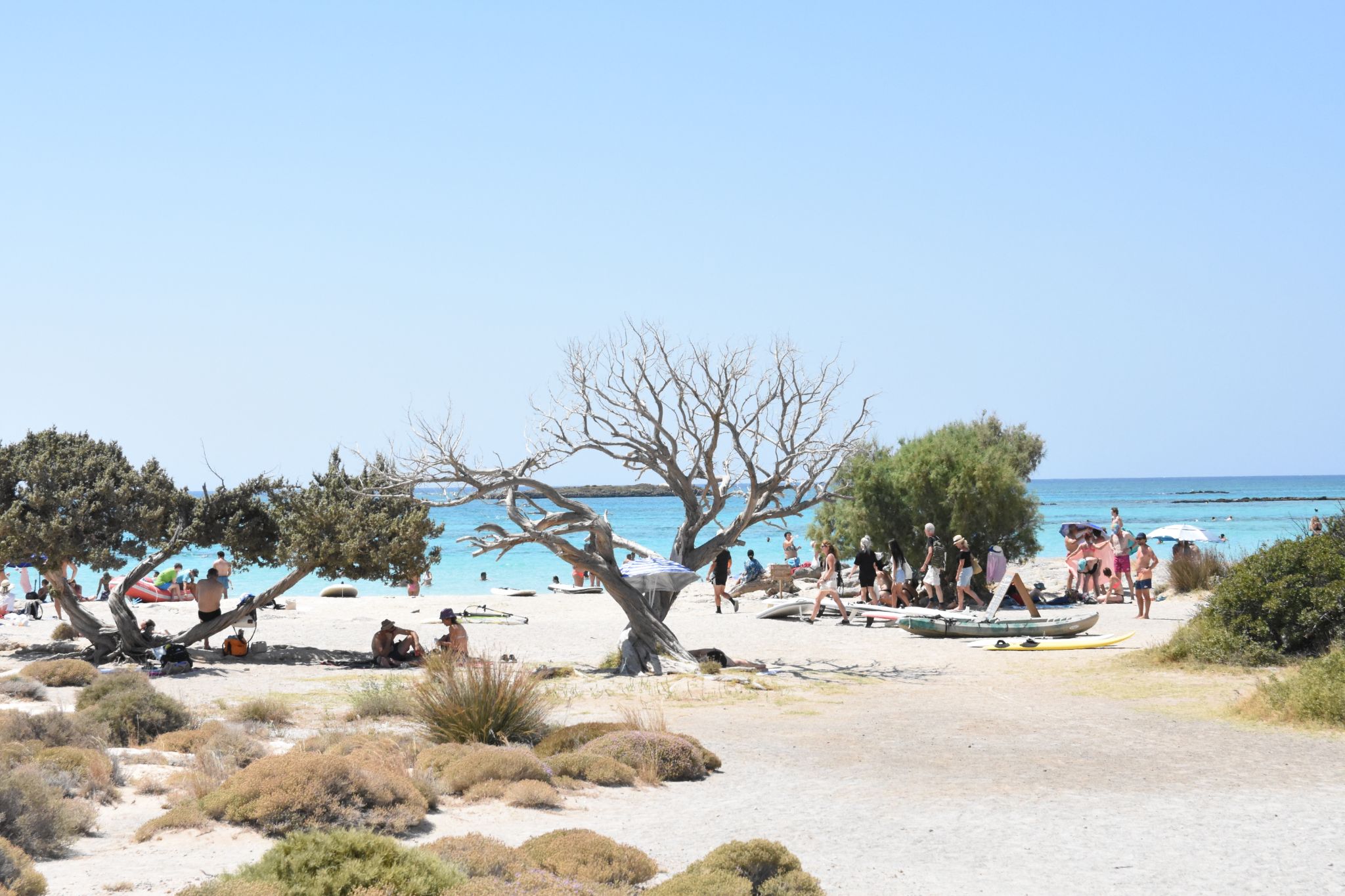 2023 08 22 11.55.55 nikon d7200