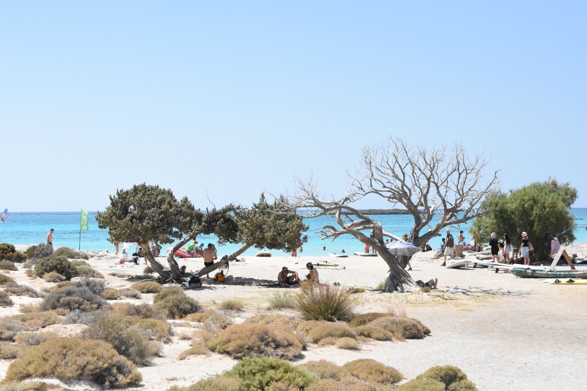 2023 08 22 11.55.58 nikon d7200